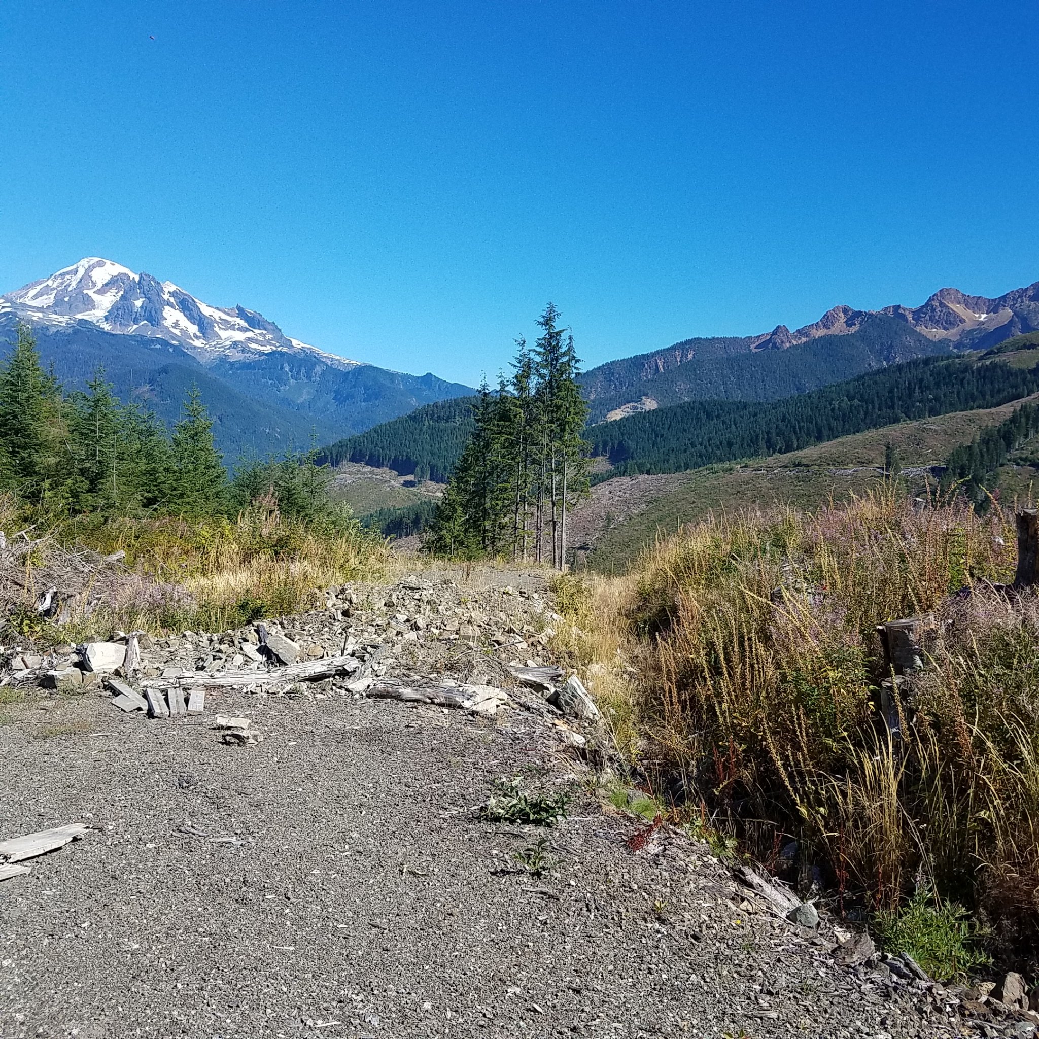 20170827_150241.jpg
