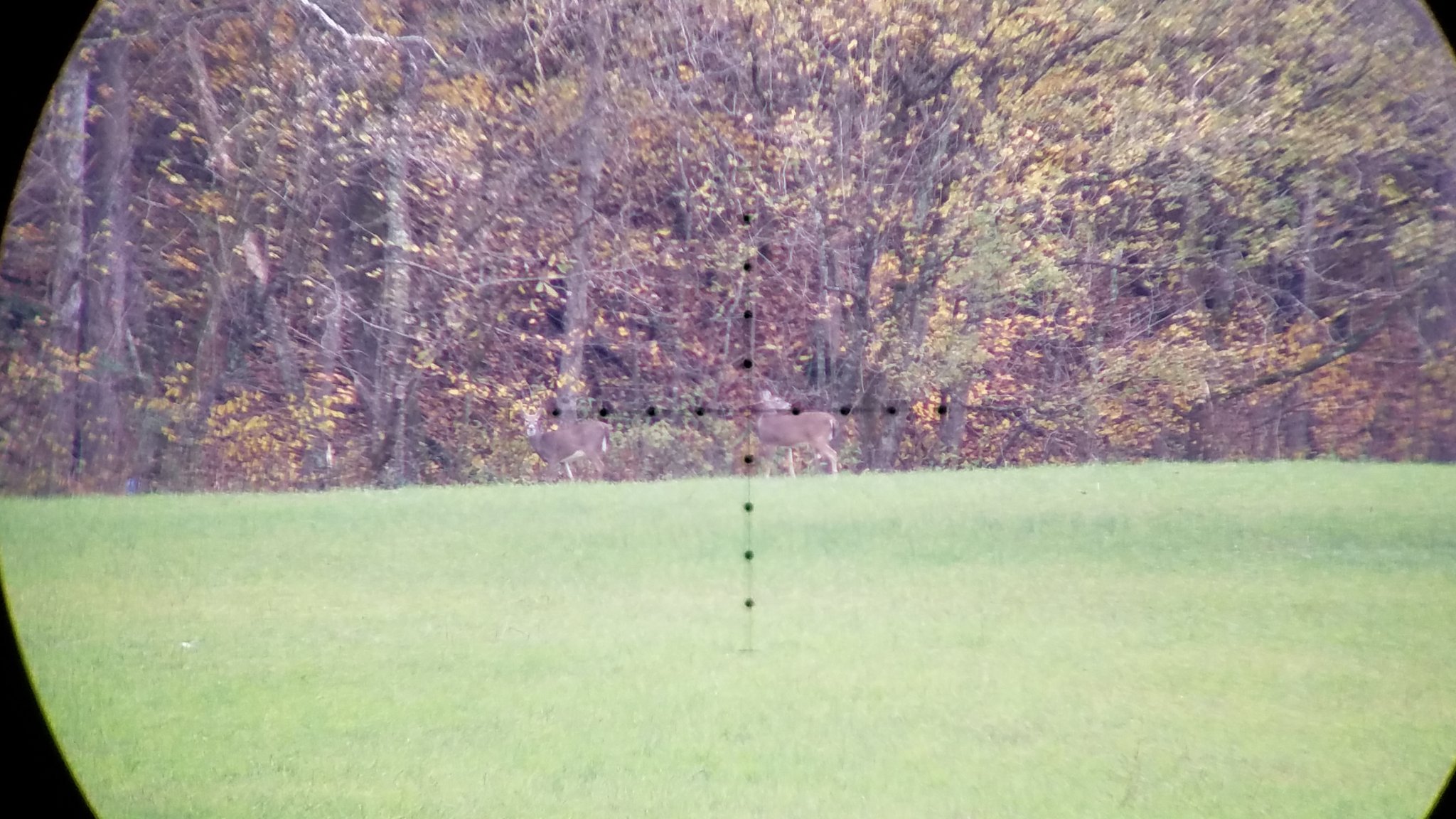 20171028_155417.jpg