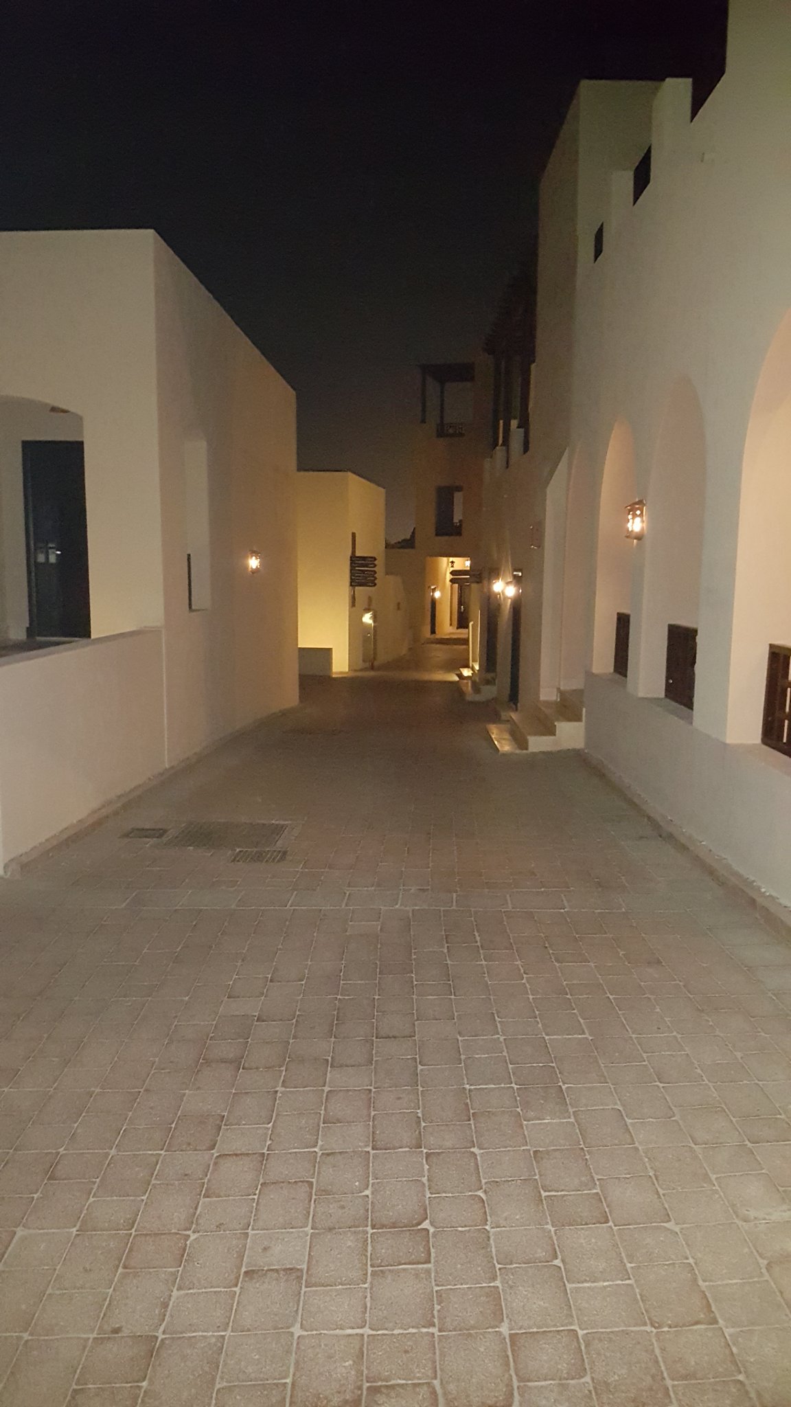 20171110_053130.jpg