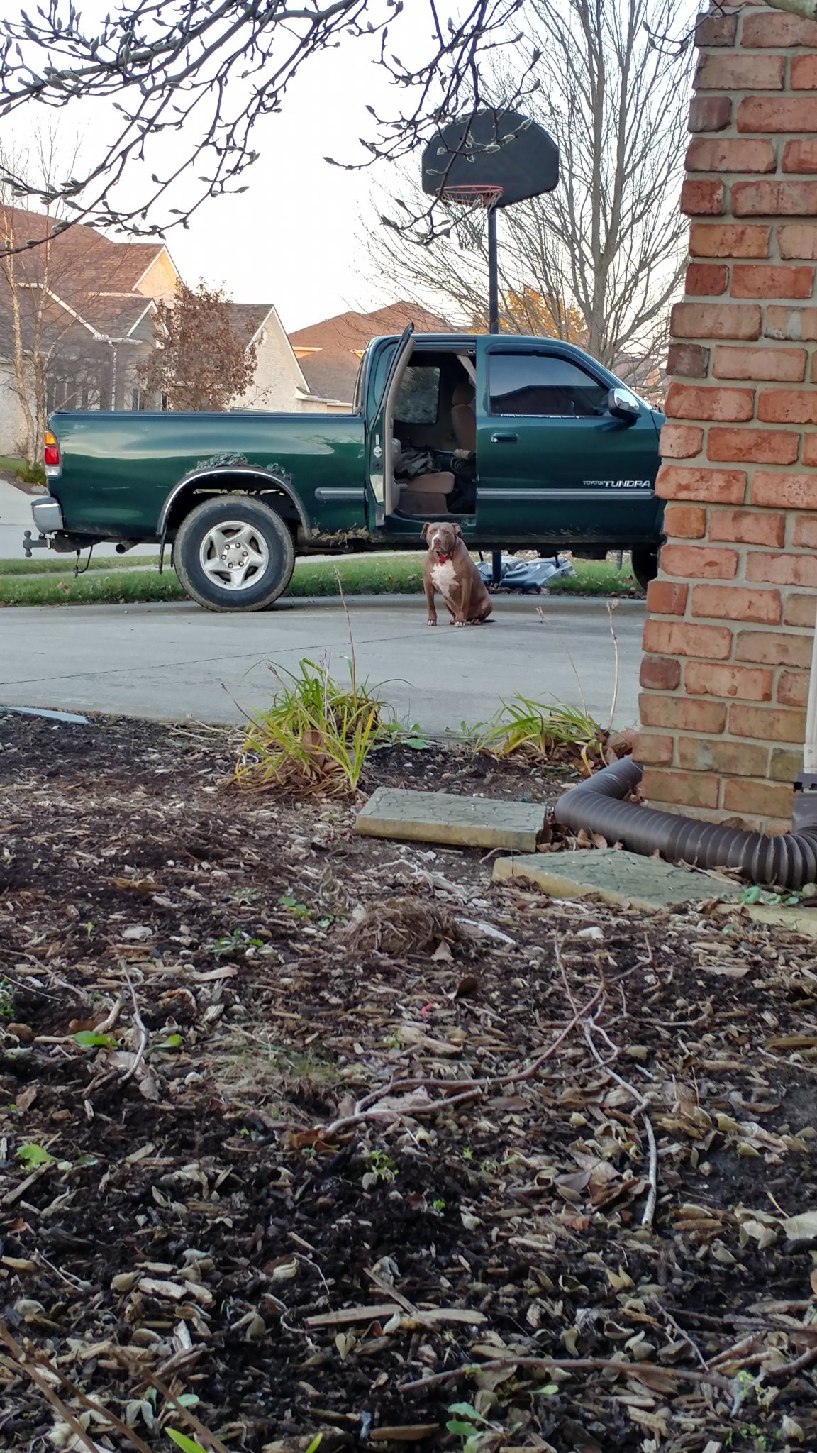 20171203_170043_HDR.jpeg