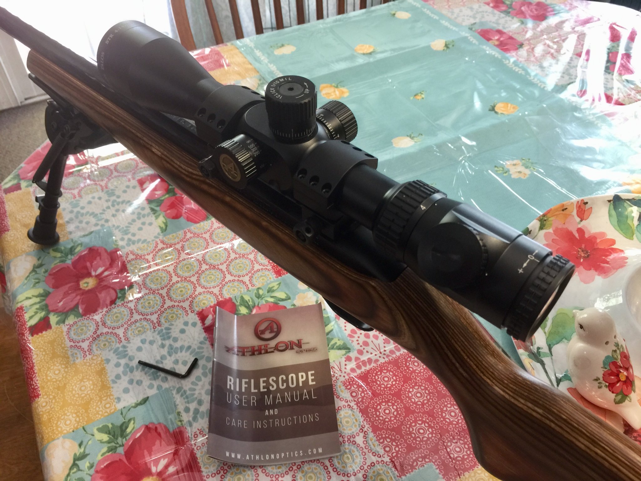 2018-05-04_Ruger 1022Targer-AthlonScope1.jpg