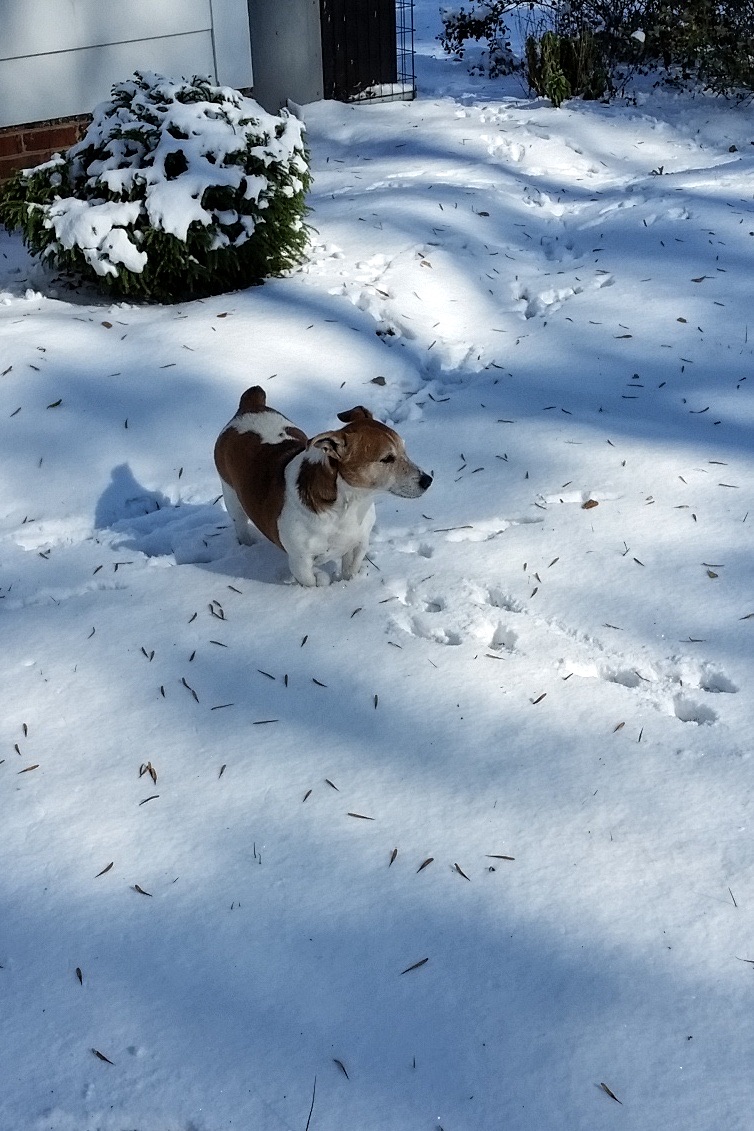 20180104_114734-01.jpeg