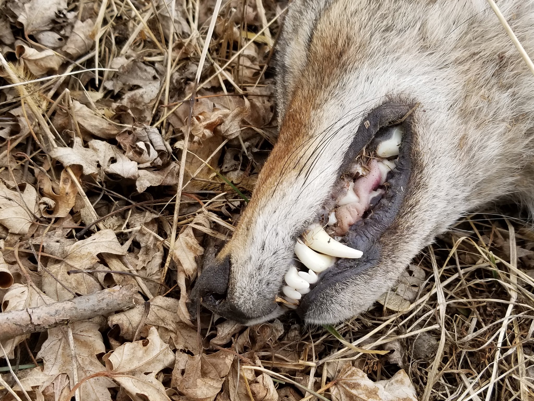 20180326_144223.jpg