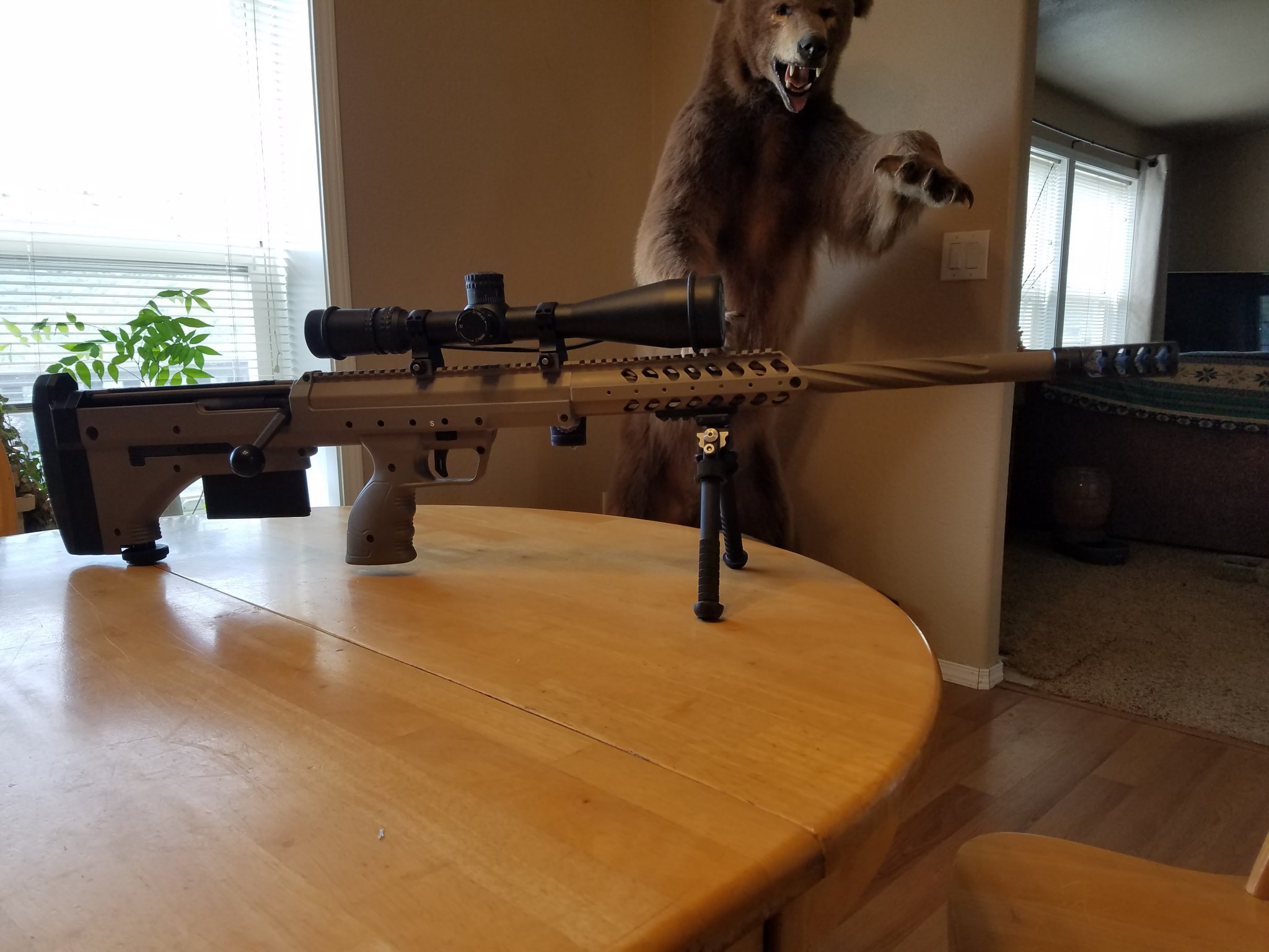 20180330_134033.jpg