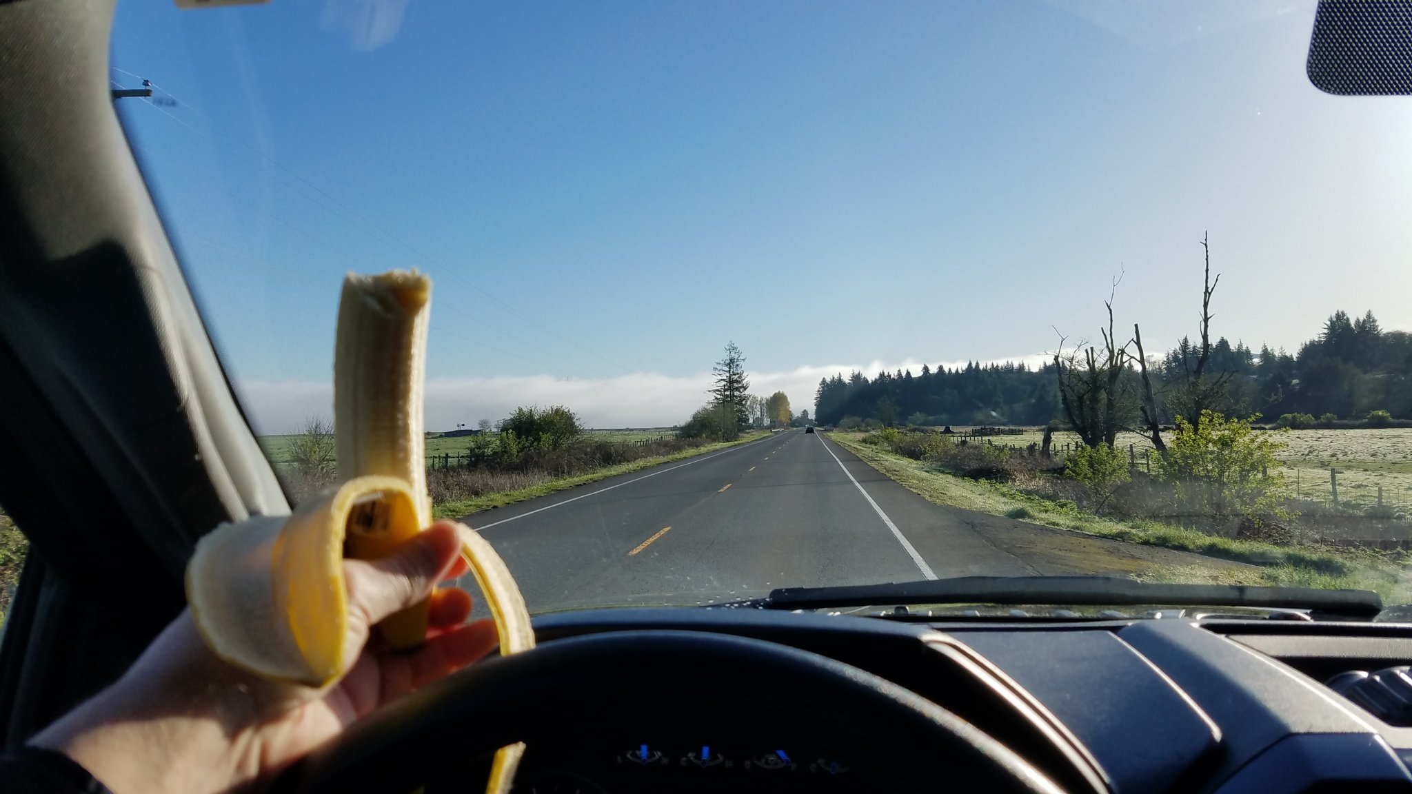20180419_074909.jpg