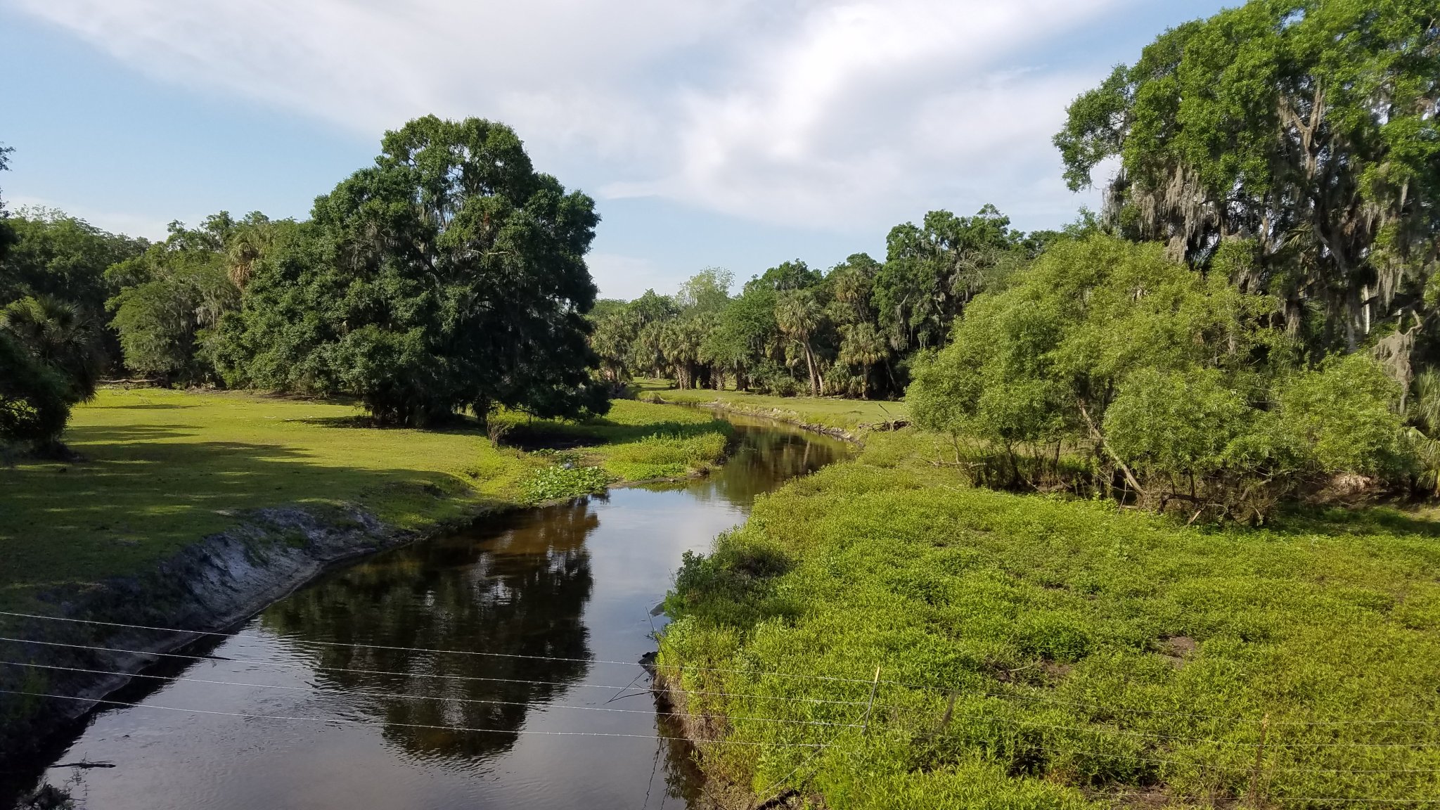 20180429_094647.jpg