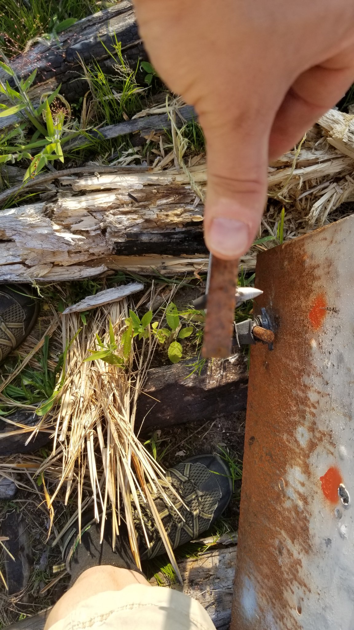 20180502_183638.jpg