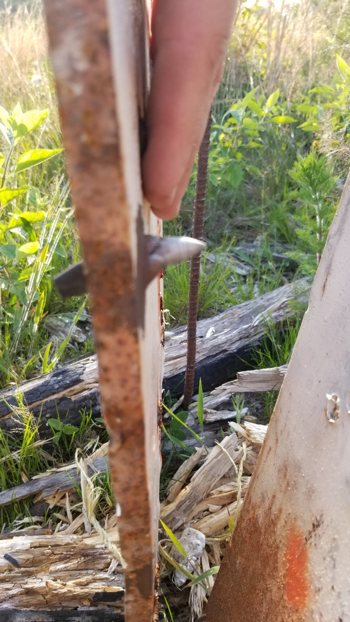 20180502_183652.jpg