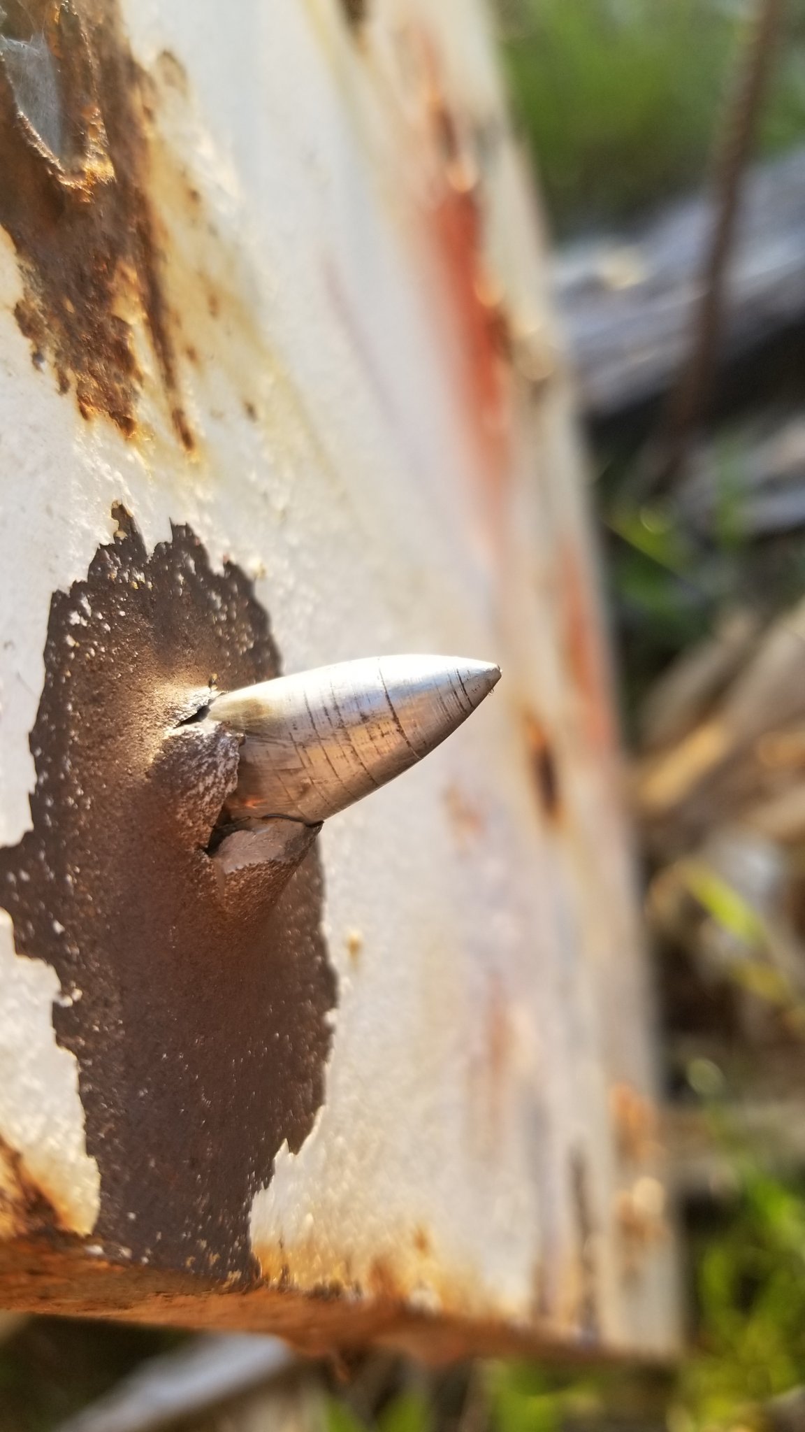 20180502_183659.jpg
