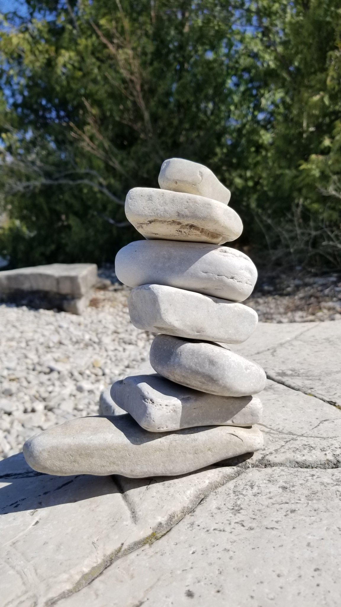 20180504_150844.jpg