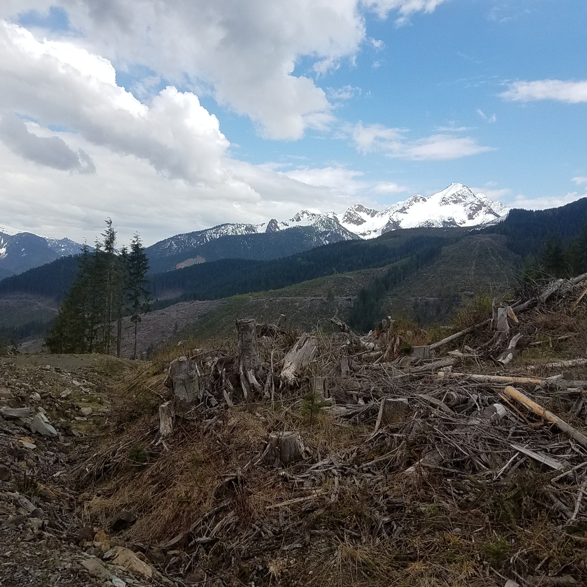 20180506_151736.jpg