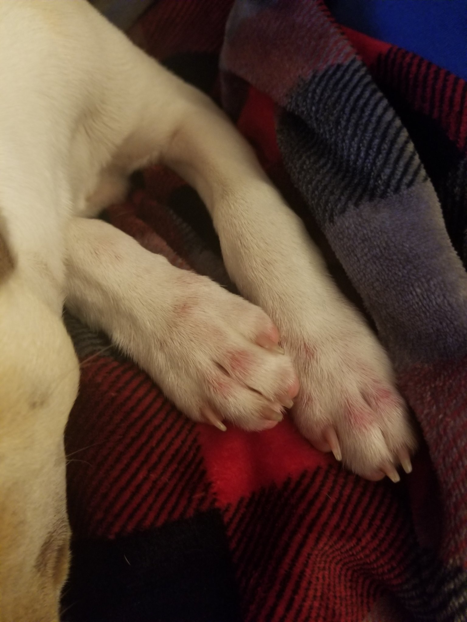20180516_205335.jpg
