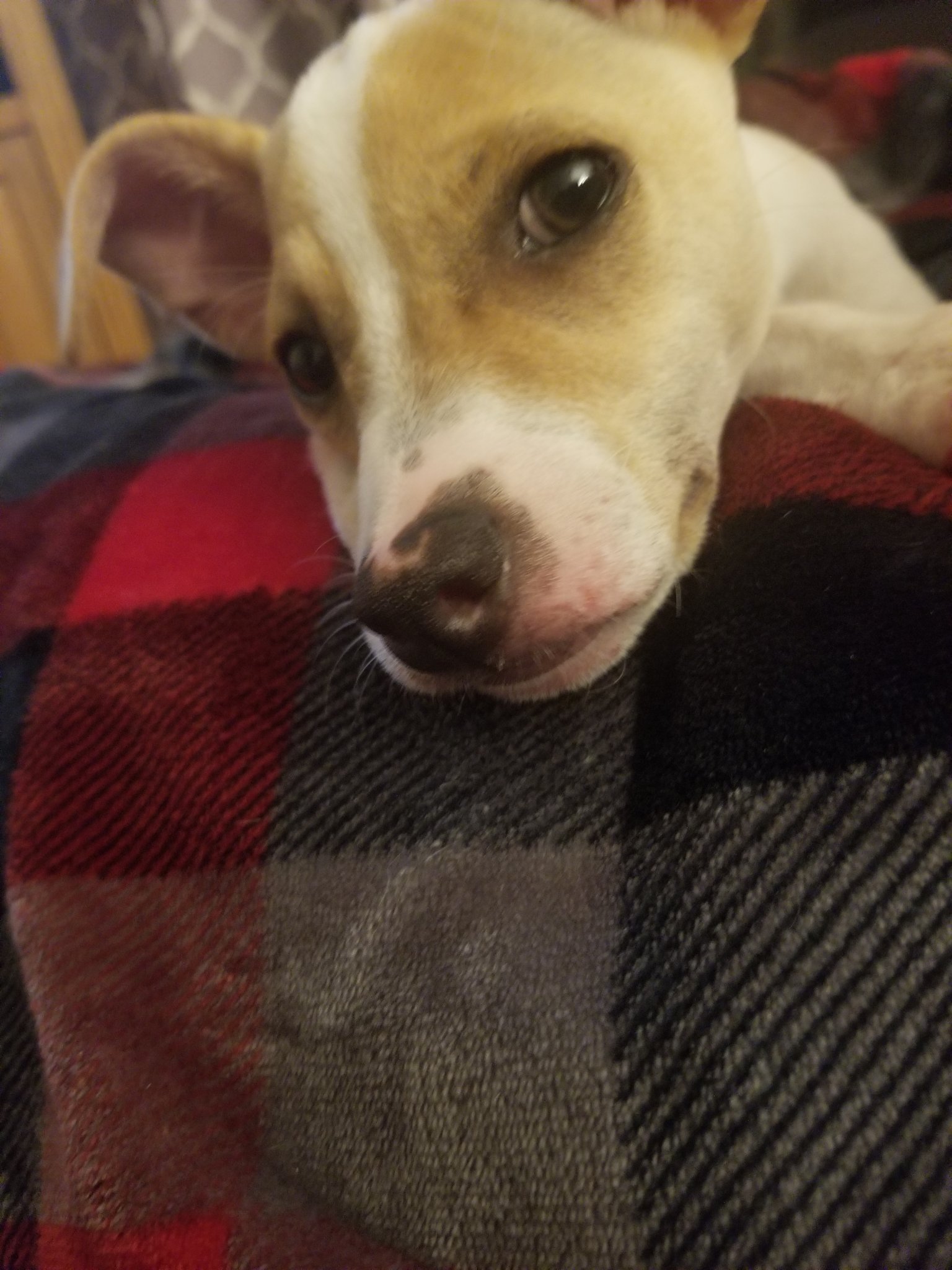 20180516_205358.jpg