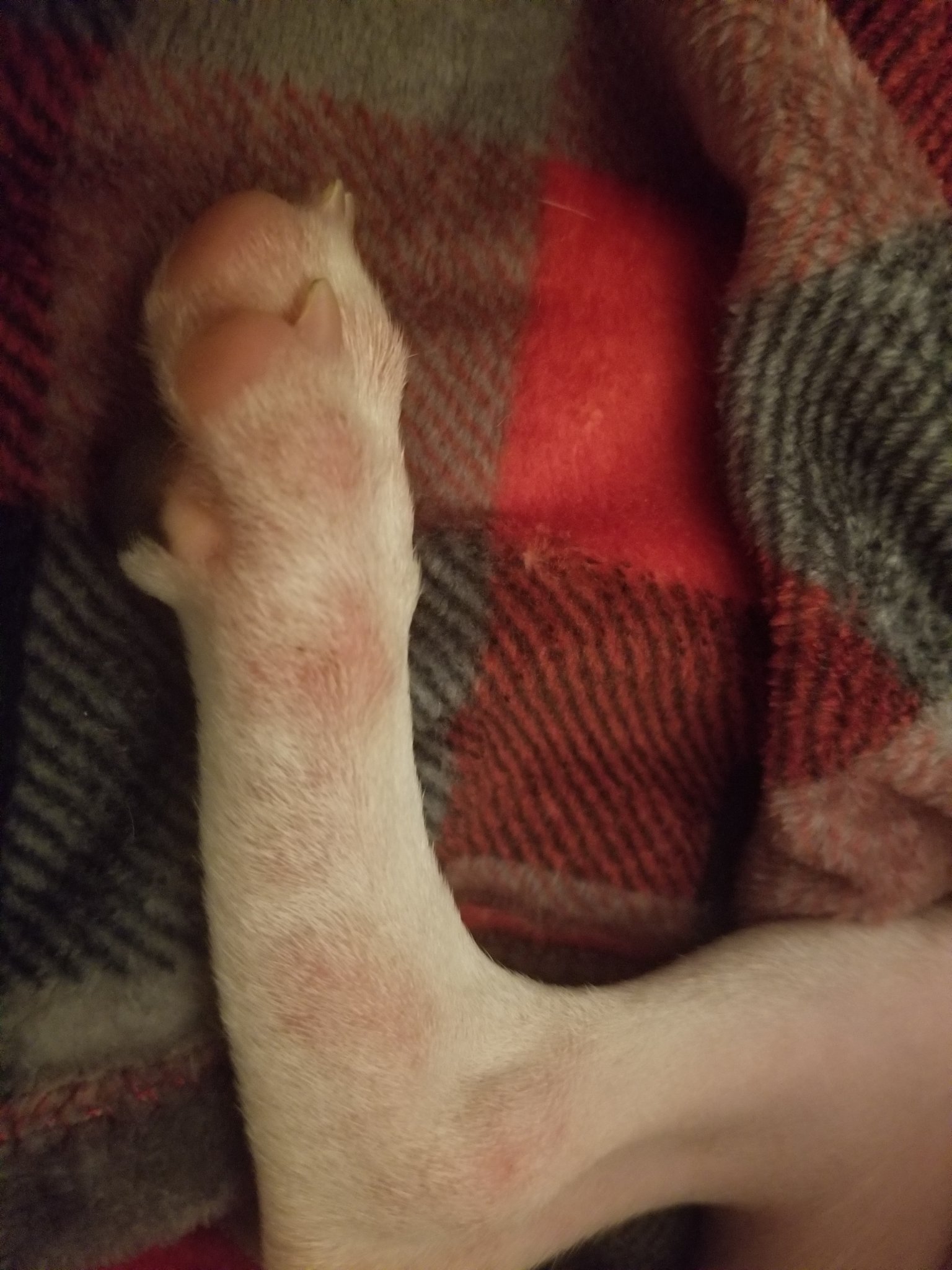 20180516_210953.jpg