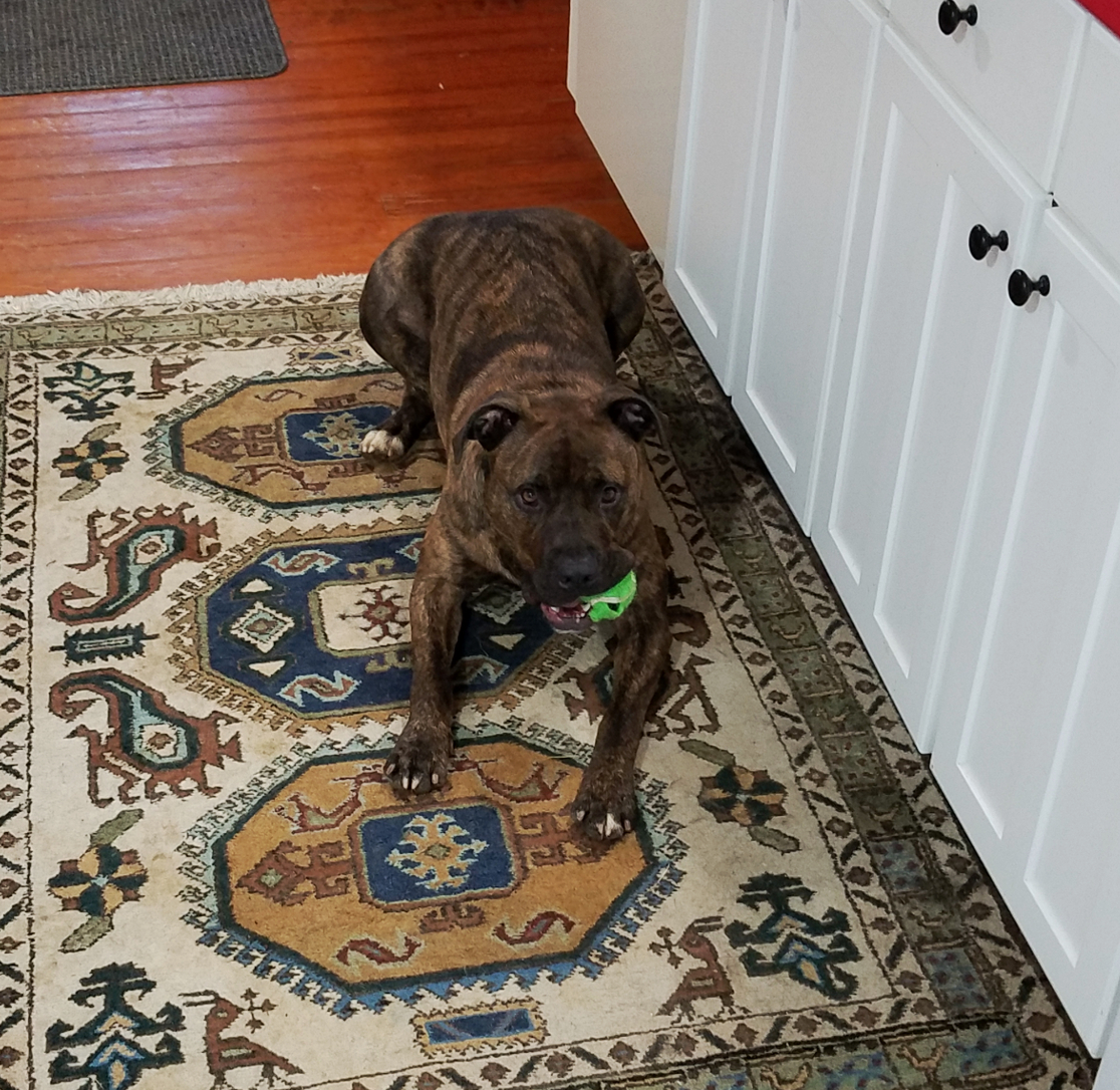 20180519_194925.jpg
