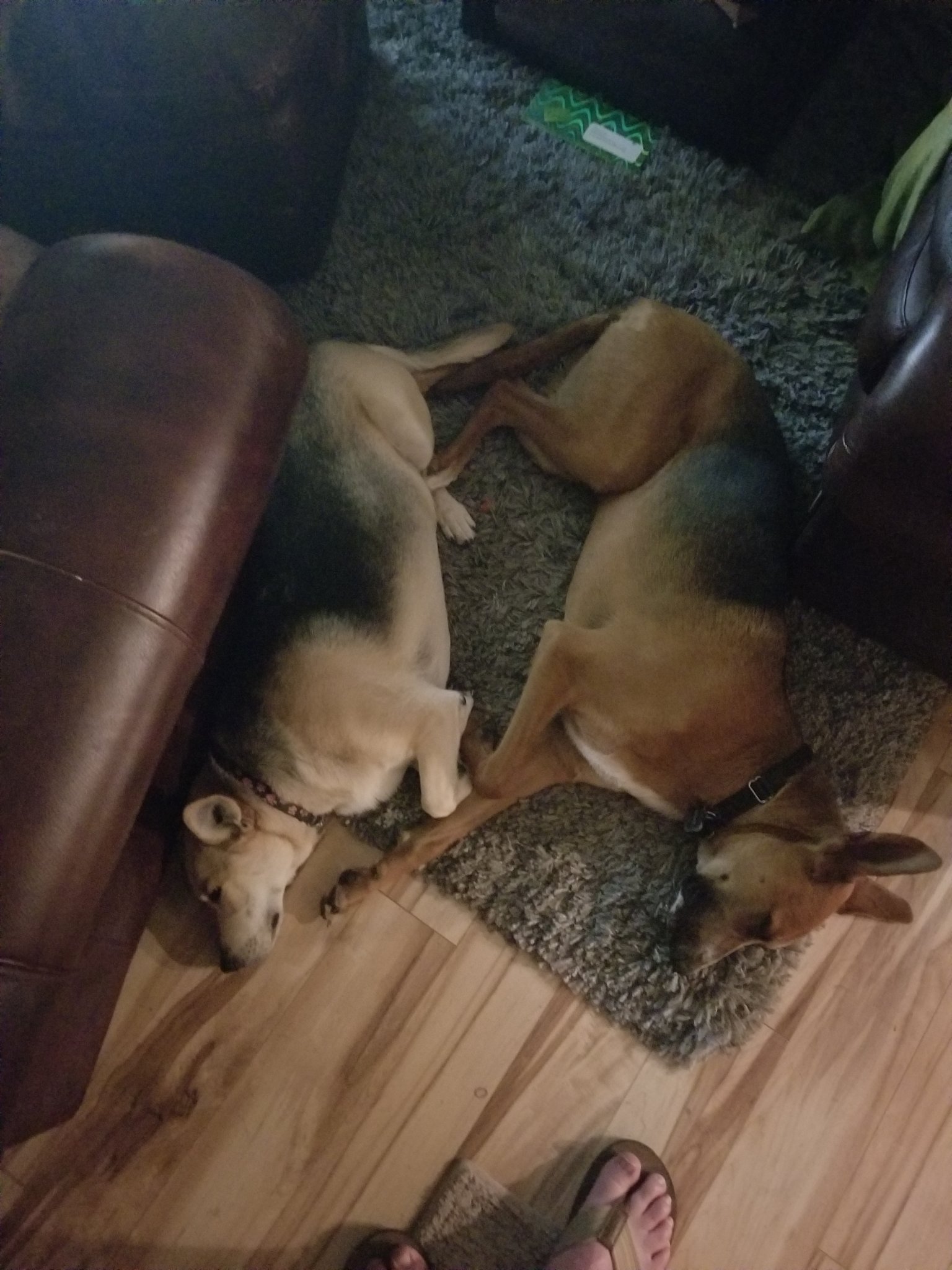 20180526_203446.jpg