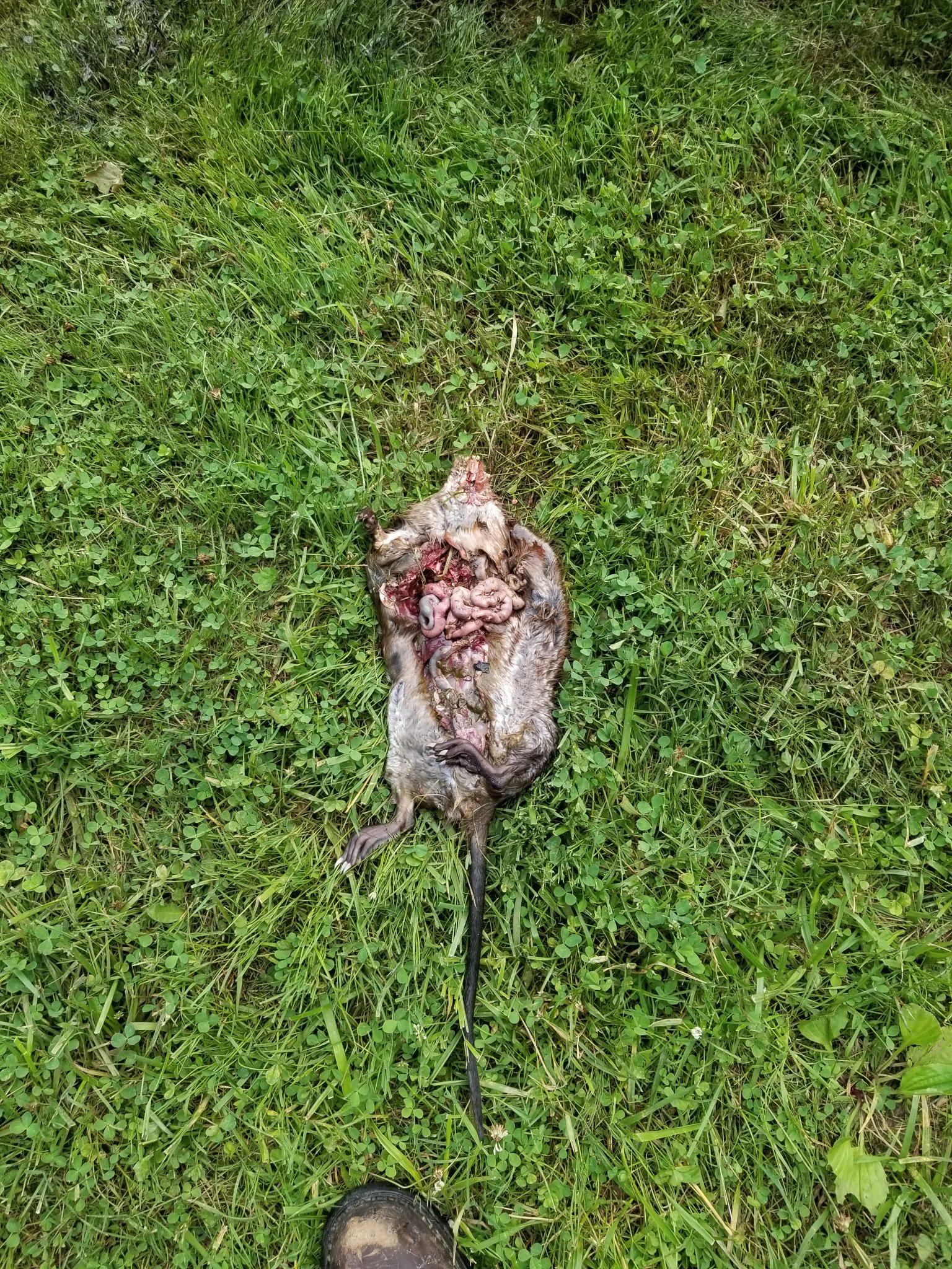 20180601_200551.jpg