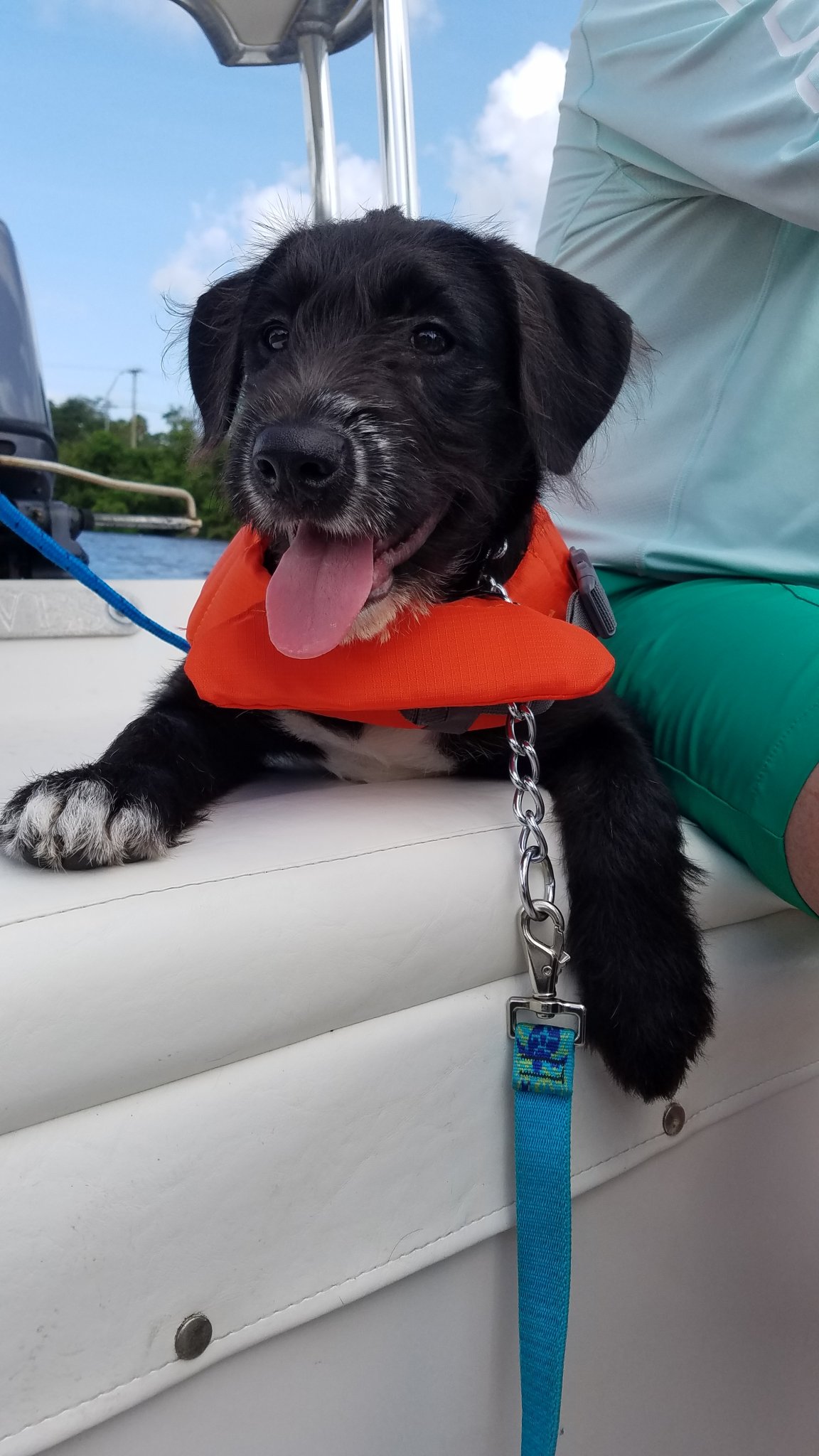 20180603_093531.jpg
