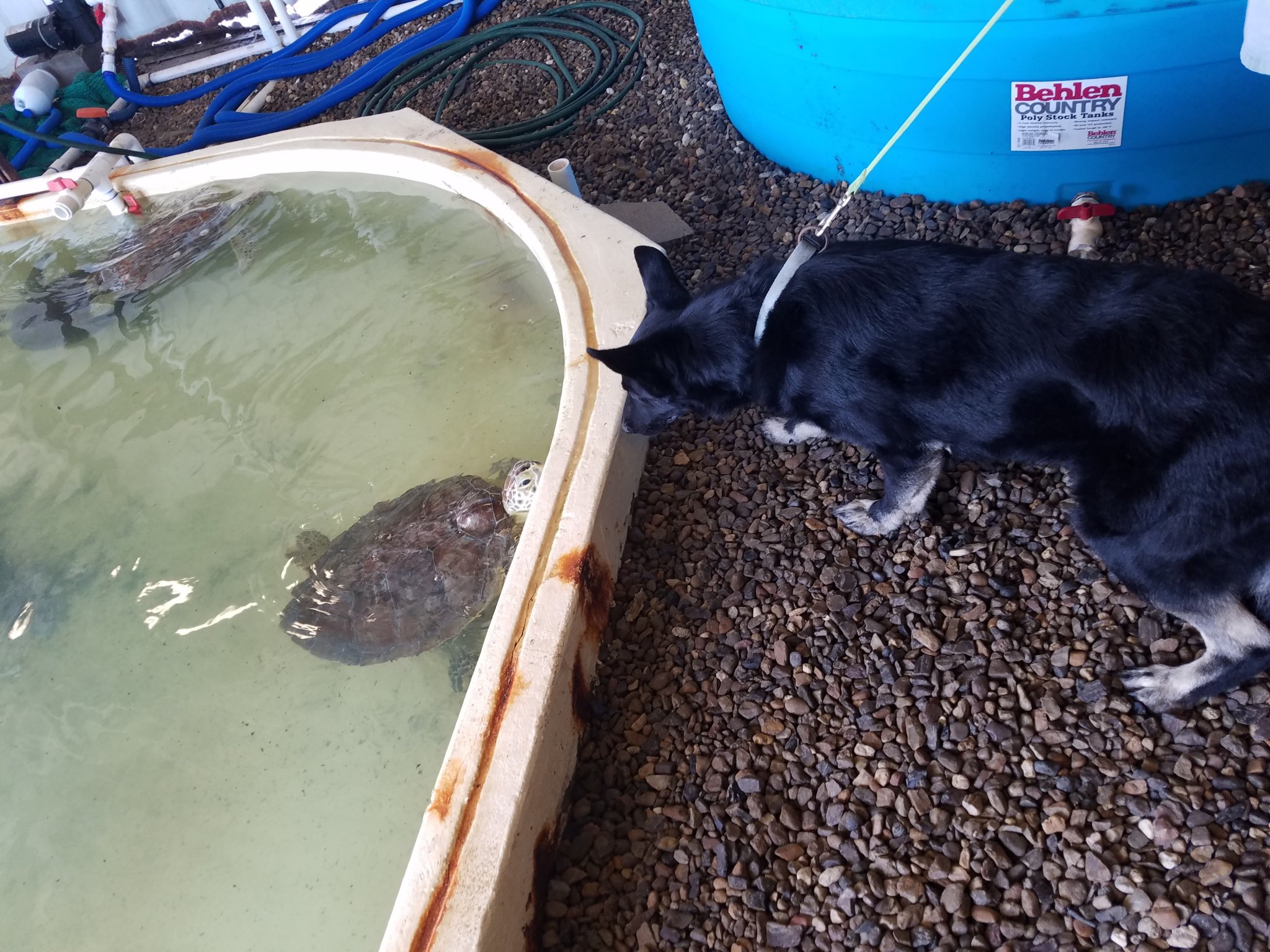 20180606_101543.jpg