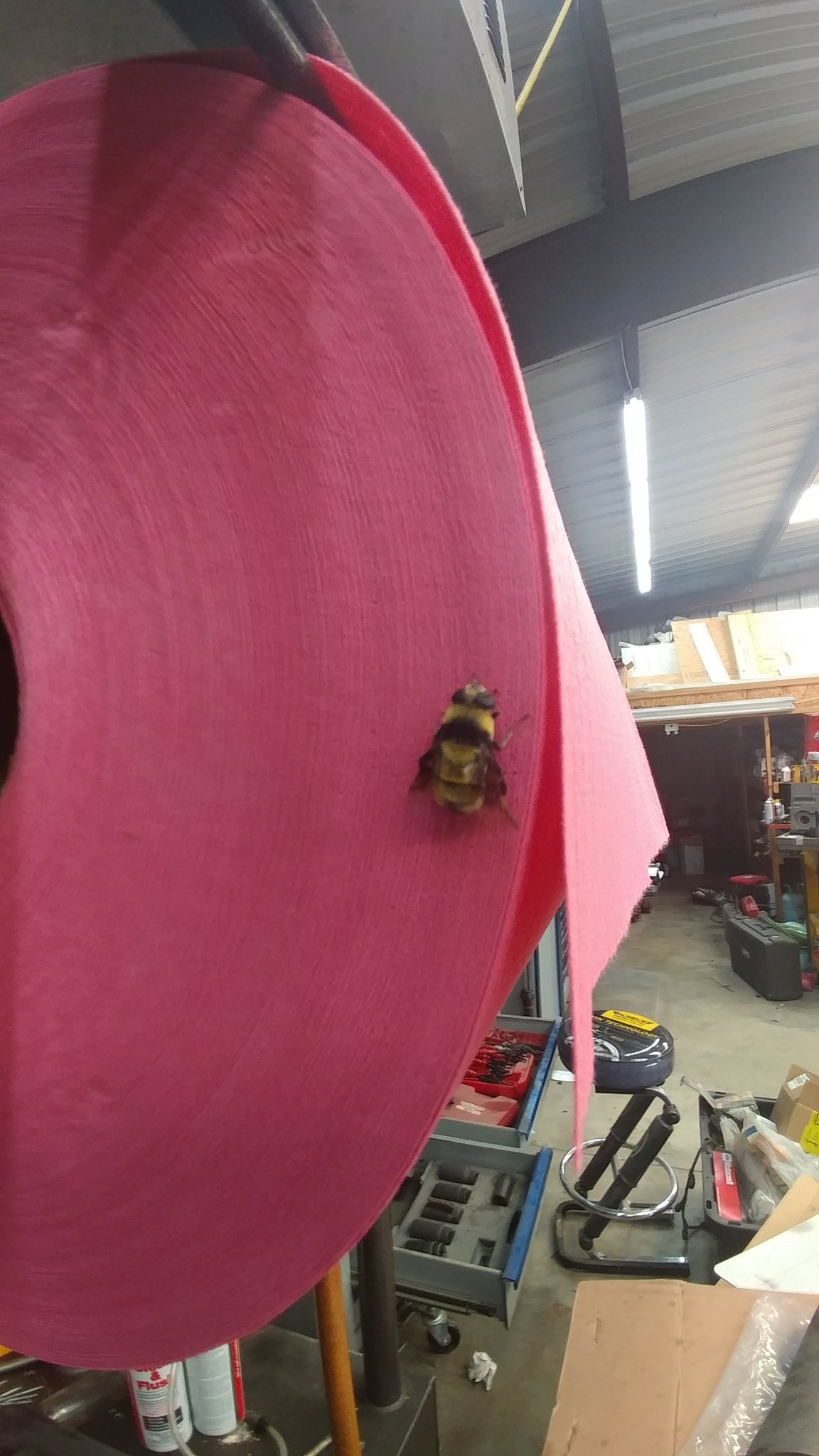 20180620_111328.jpg
