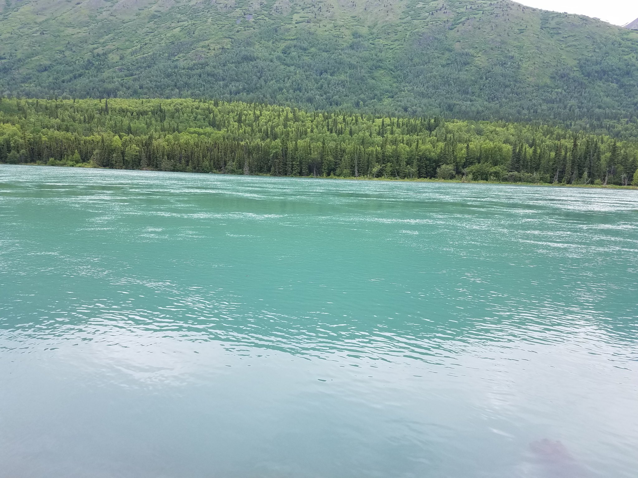 20180624_173209.jpg