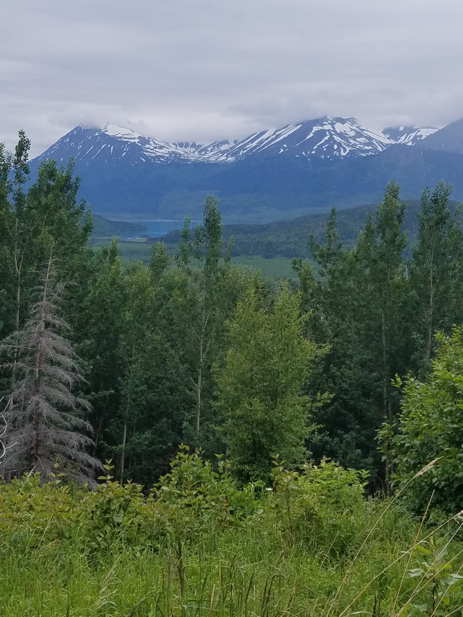 20180624_182421.jpg