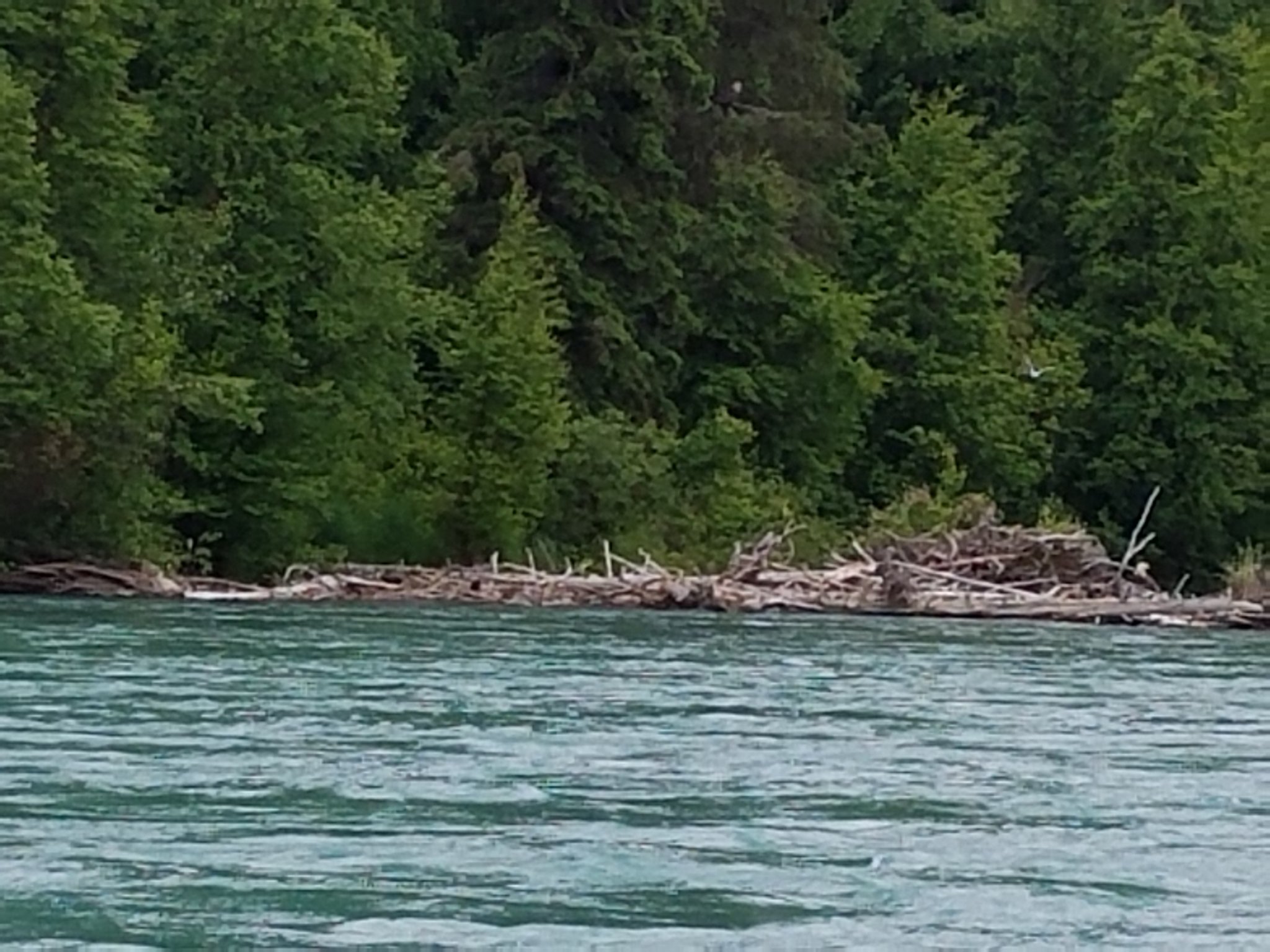 20180629_143623.jpg