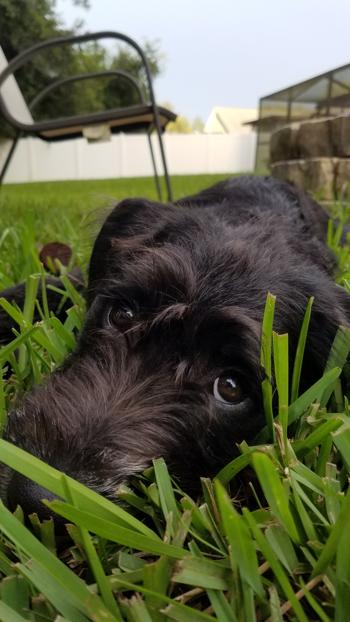 20180707_193756.jpg
