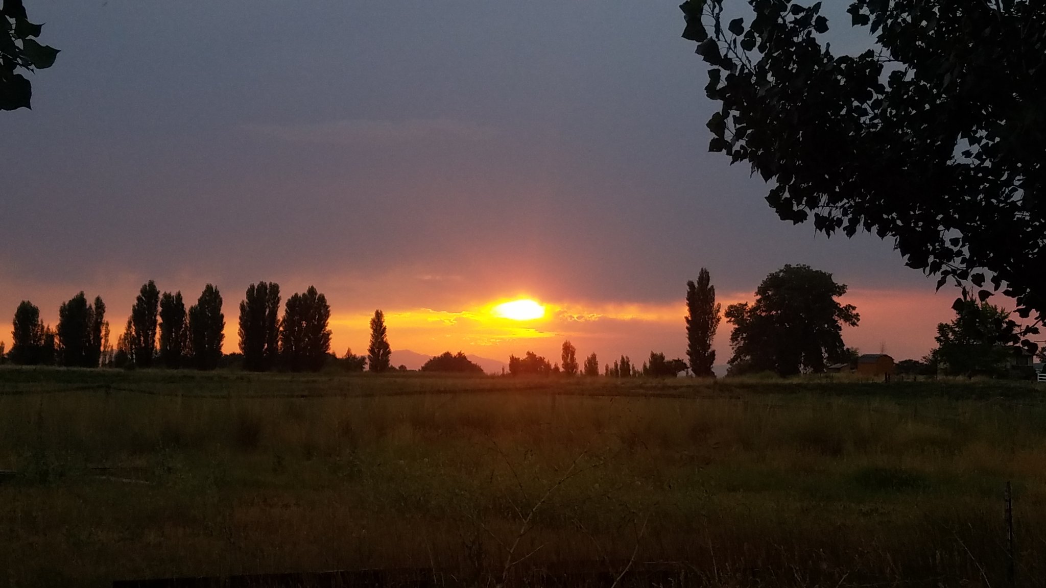 20180726_202904.jpg