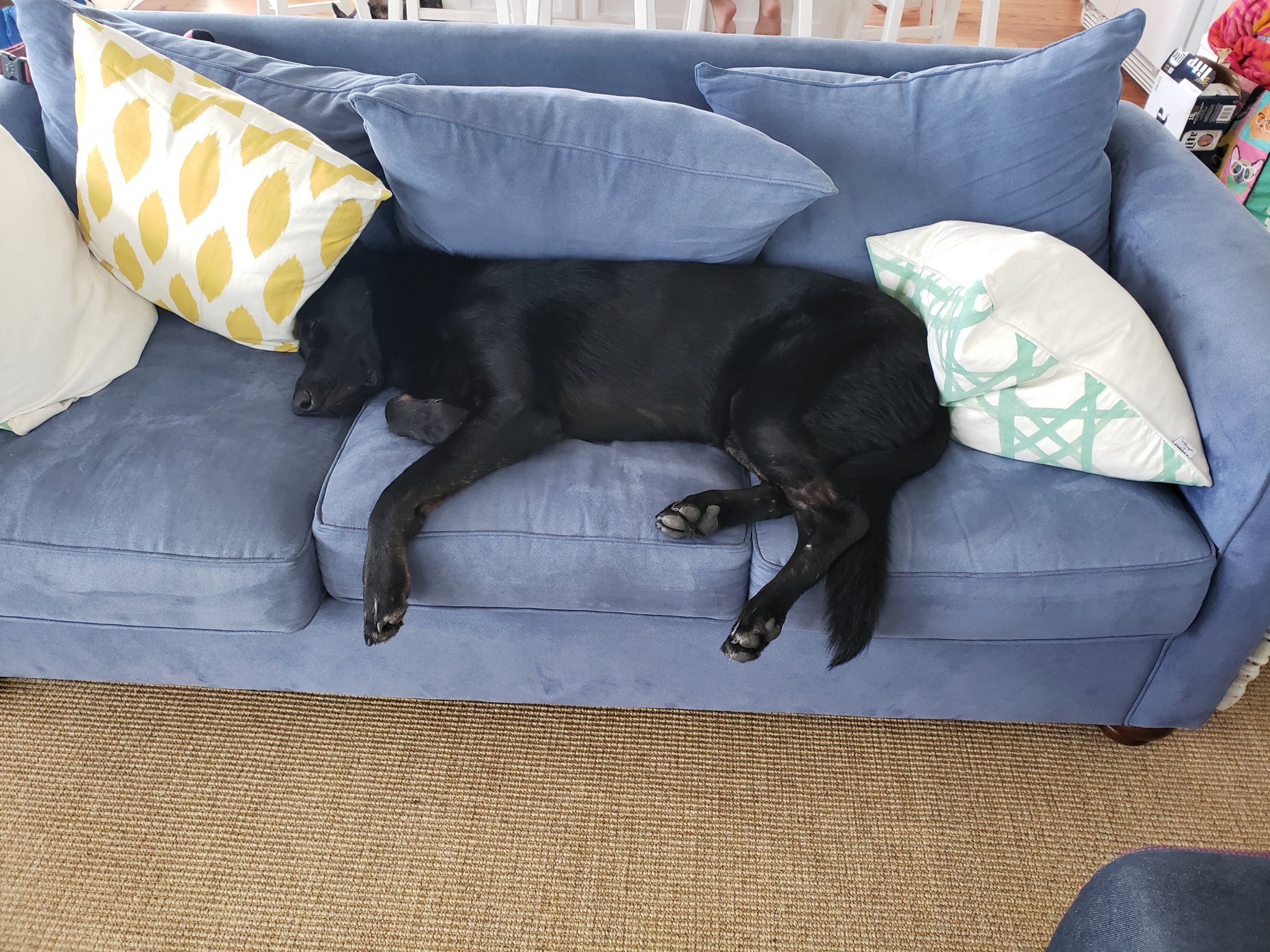 20180804_170248.jpg