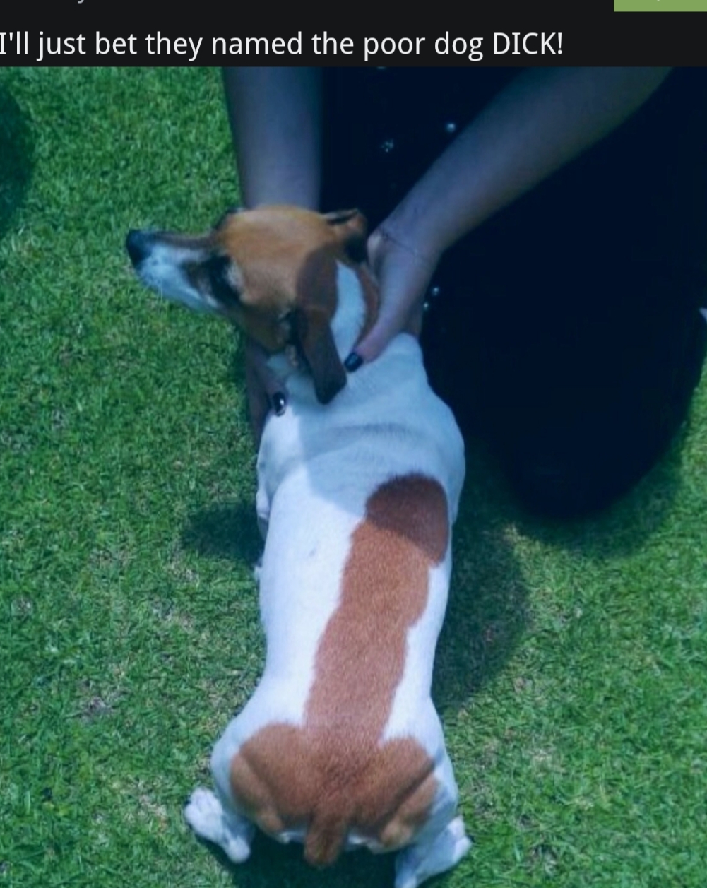20180810_115537.jpg