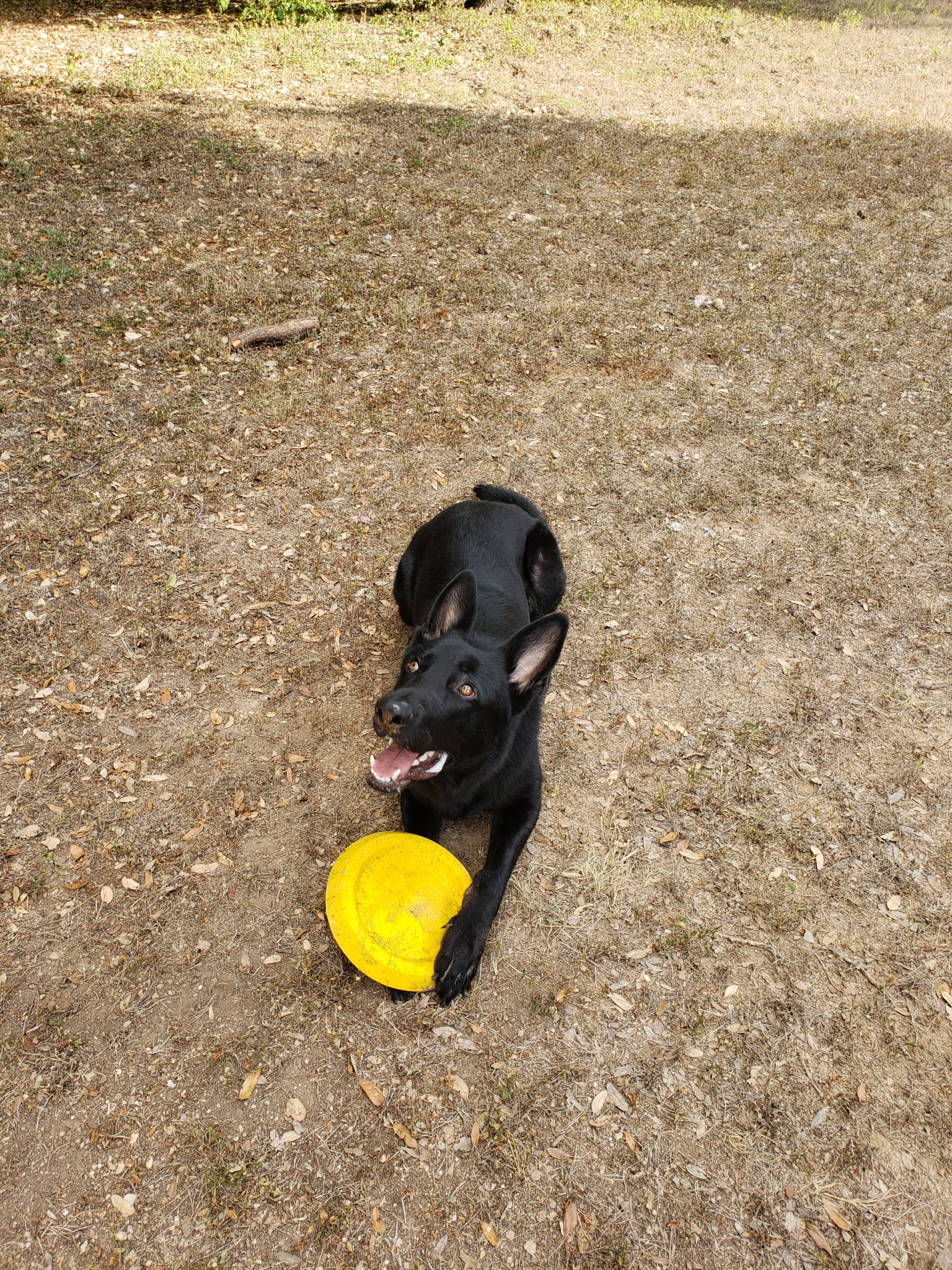 20180825_085933.jpg
