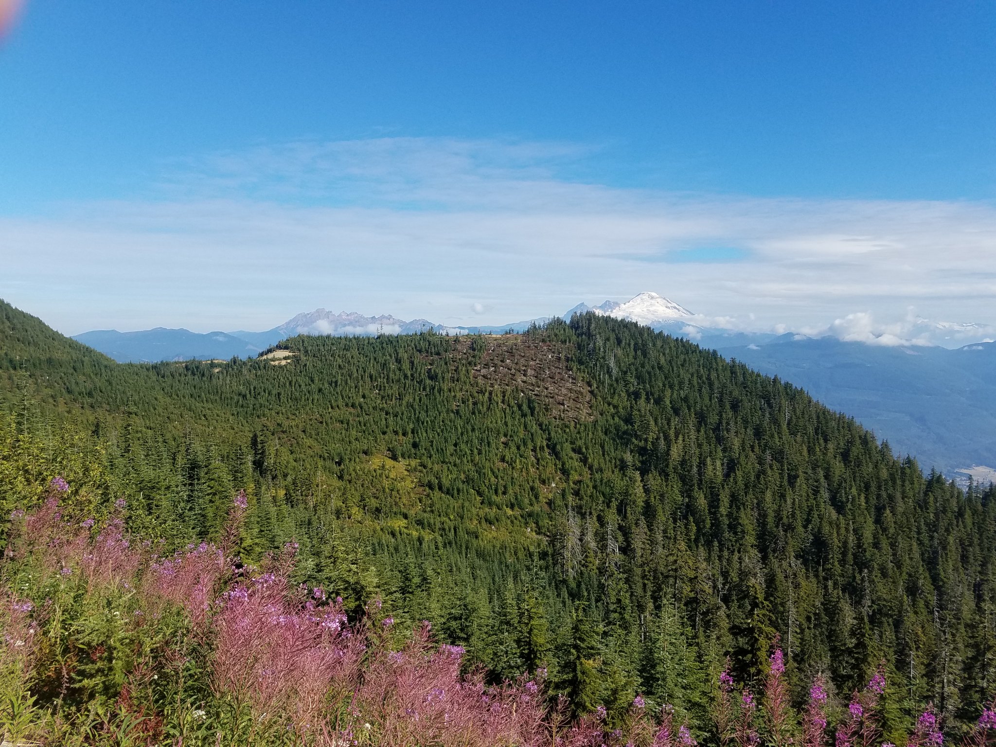 20180902_101742.jpg