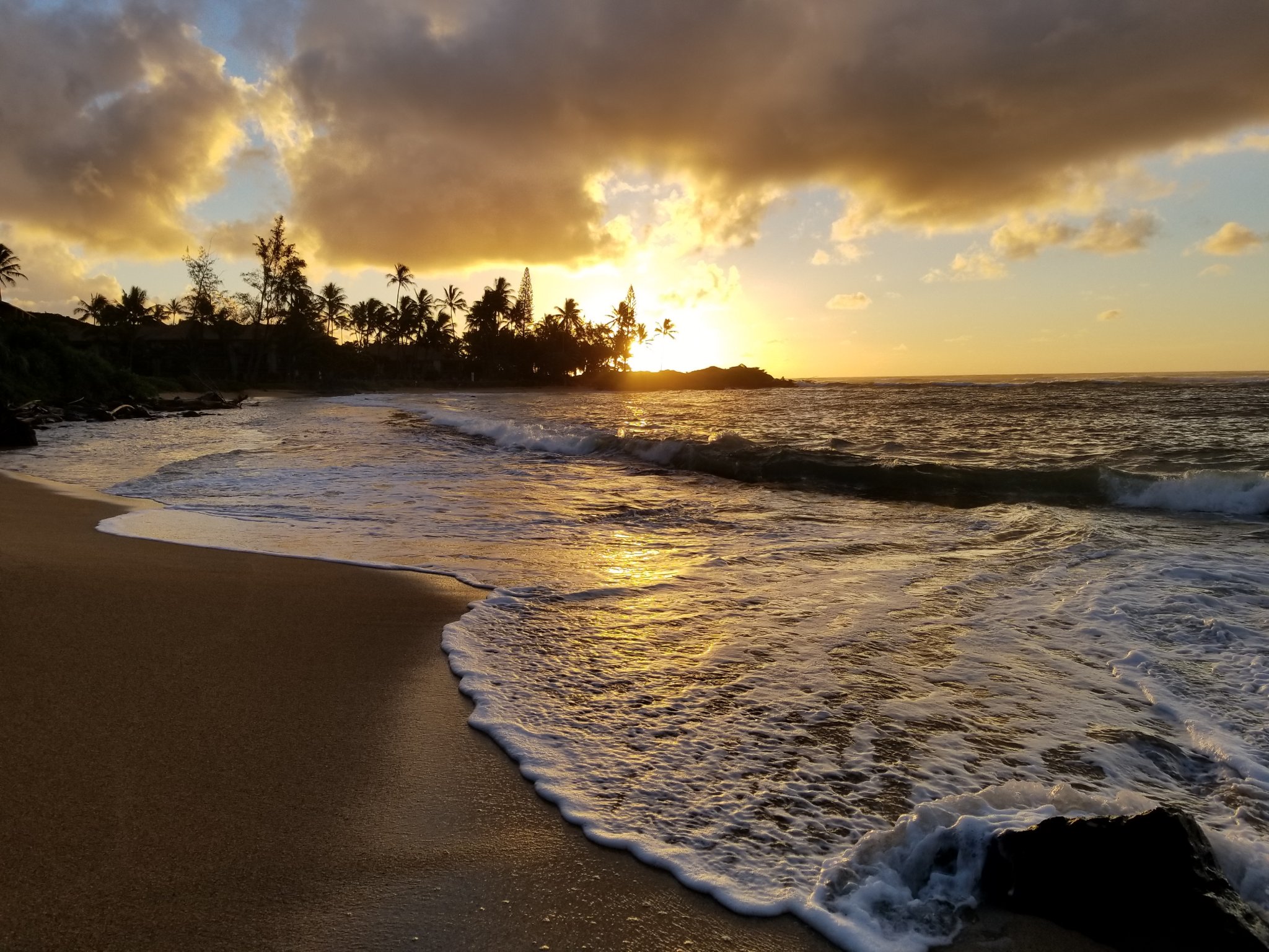 20180911_063554.jpg