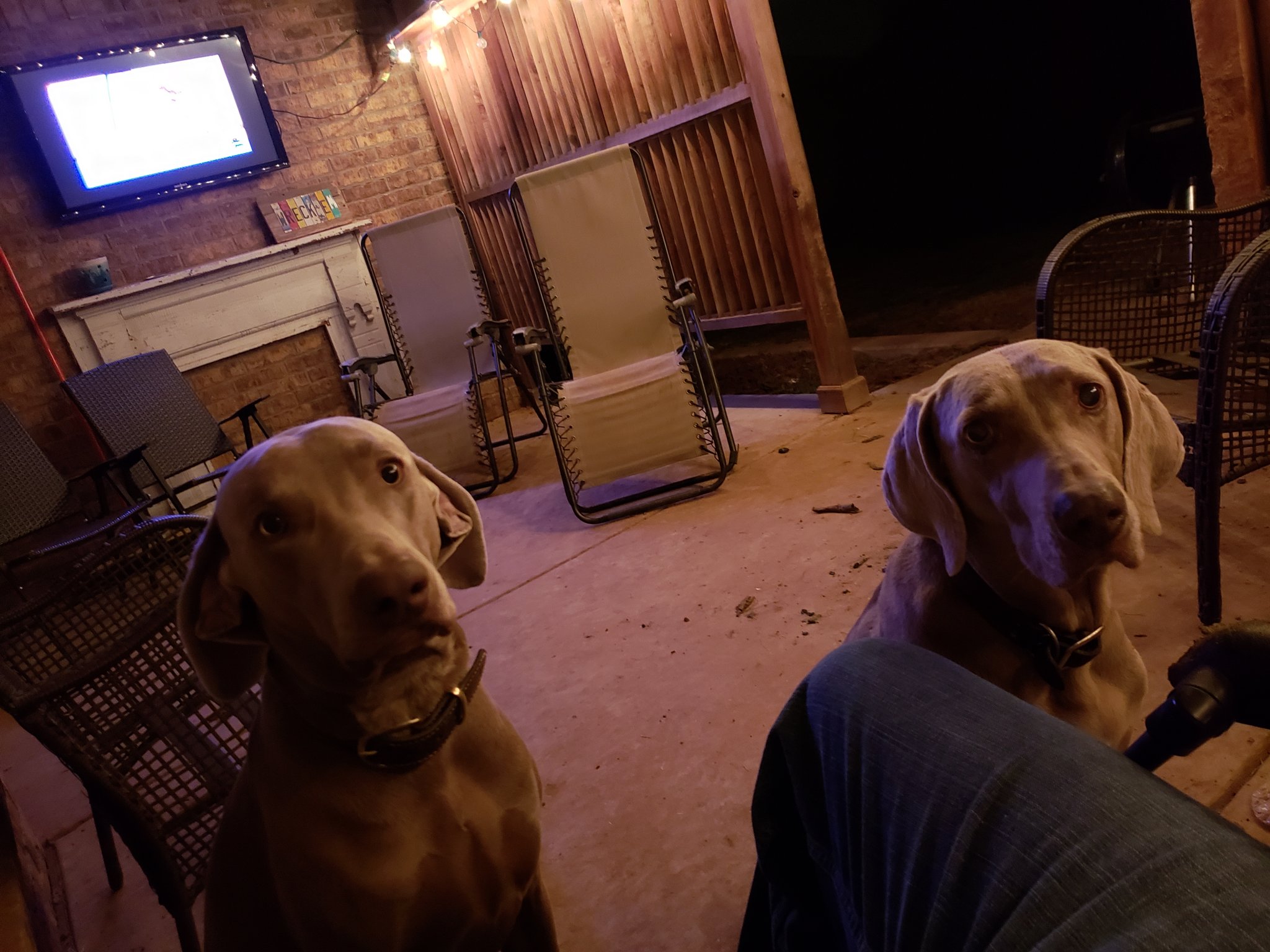 20180911_233628.jpg