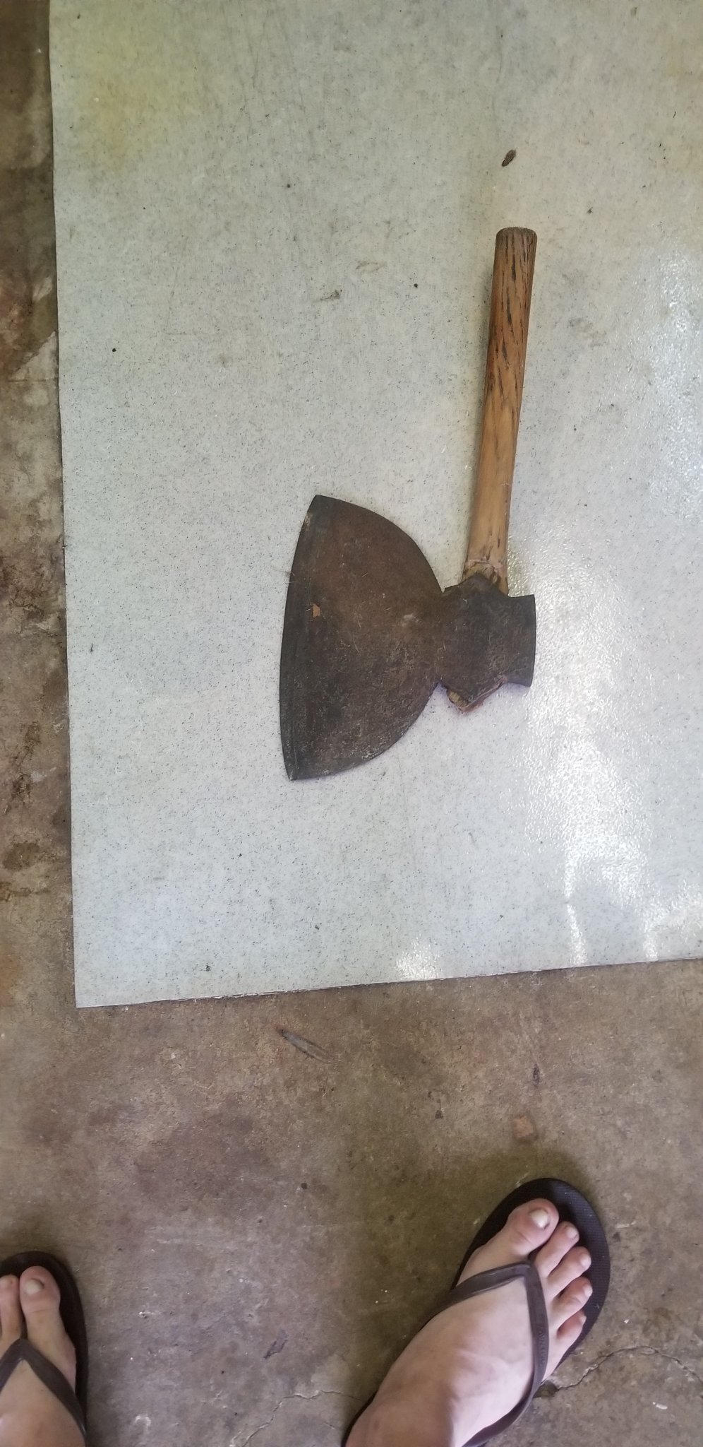 20180913_155044.jpg