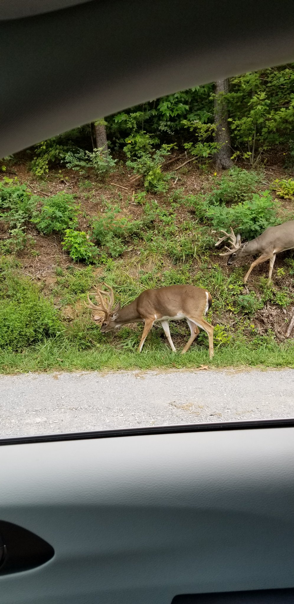 20180915_113938.jpg