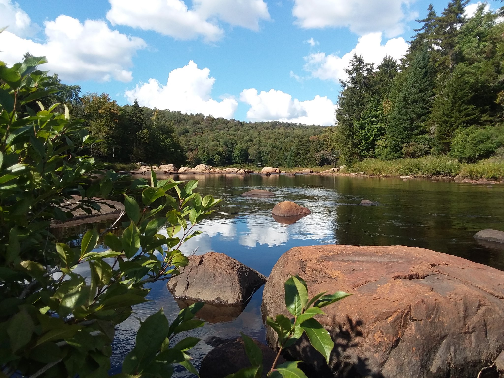 20180916_151053.jpg