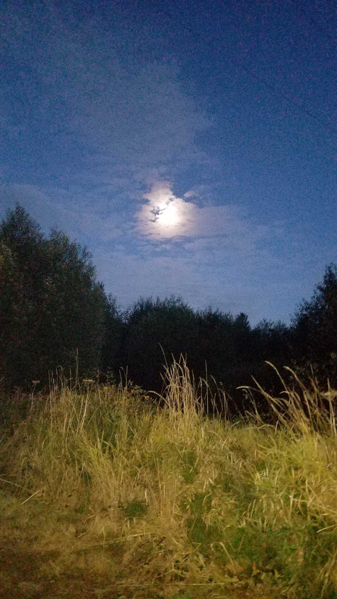20180919_195657.jpg