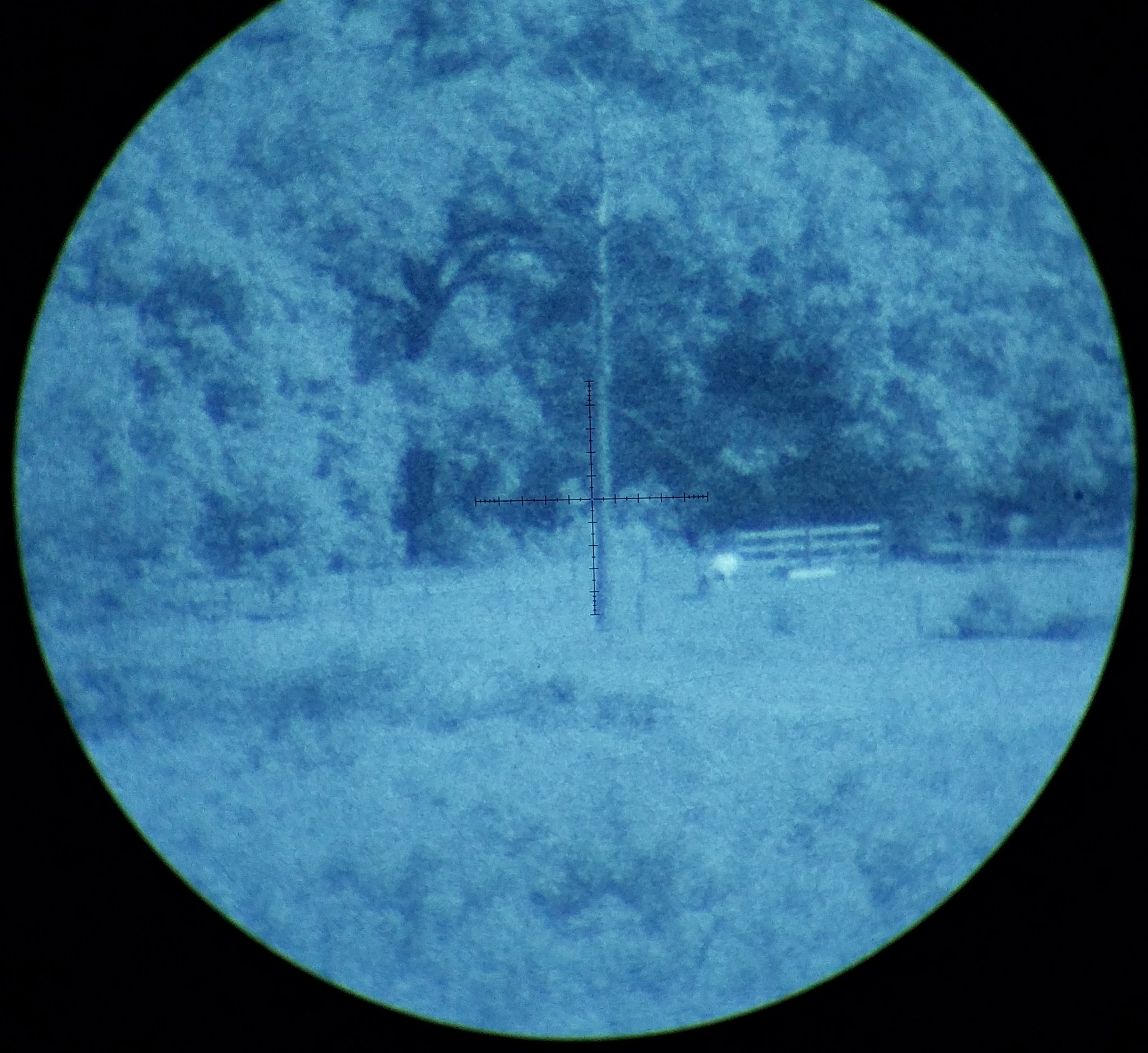 20180922_205645.jpg