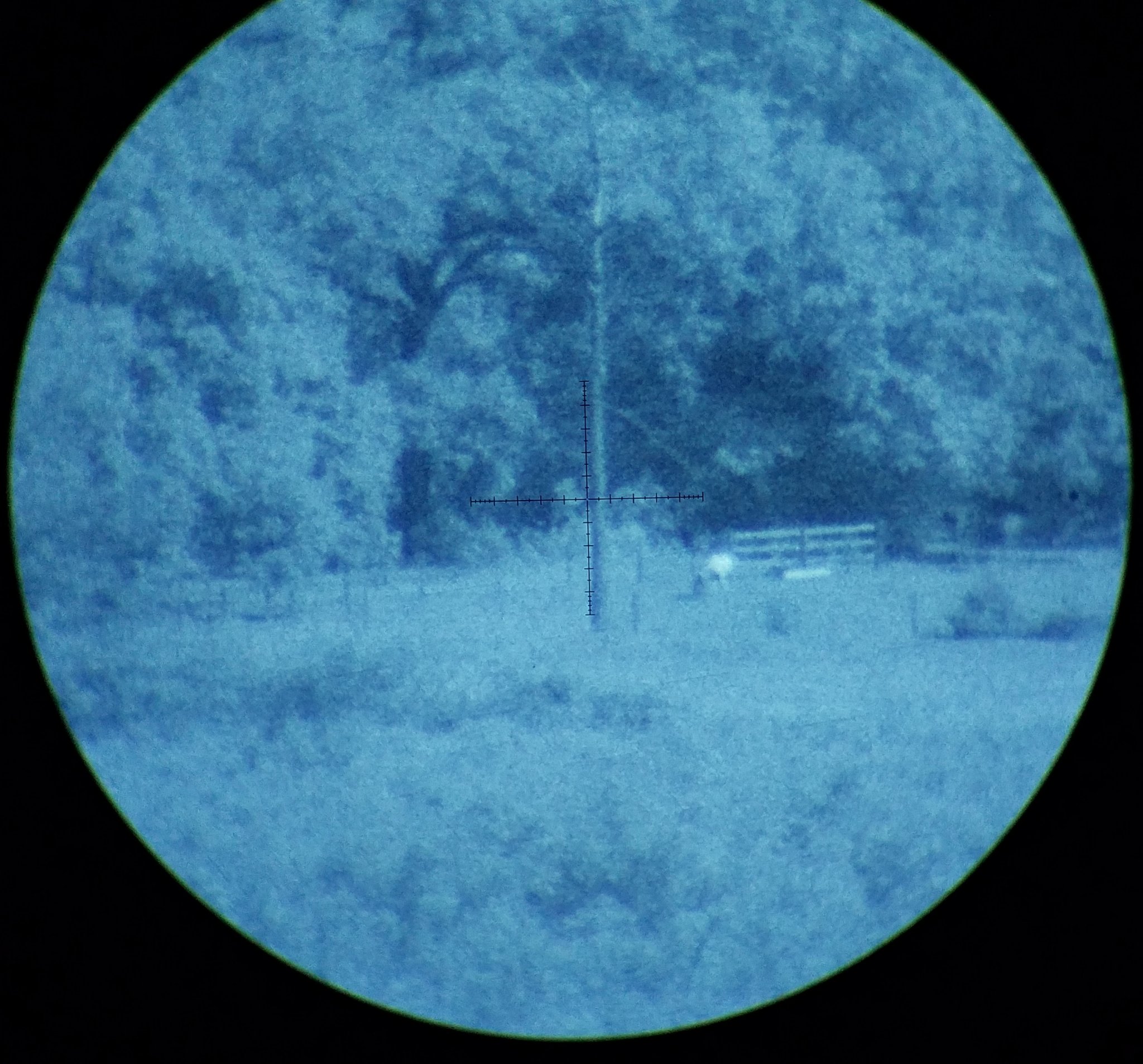 20180922_205645.jpg