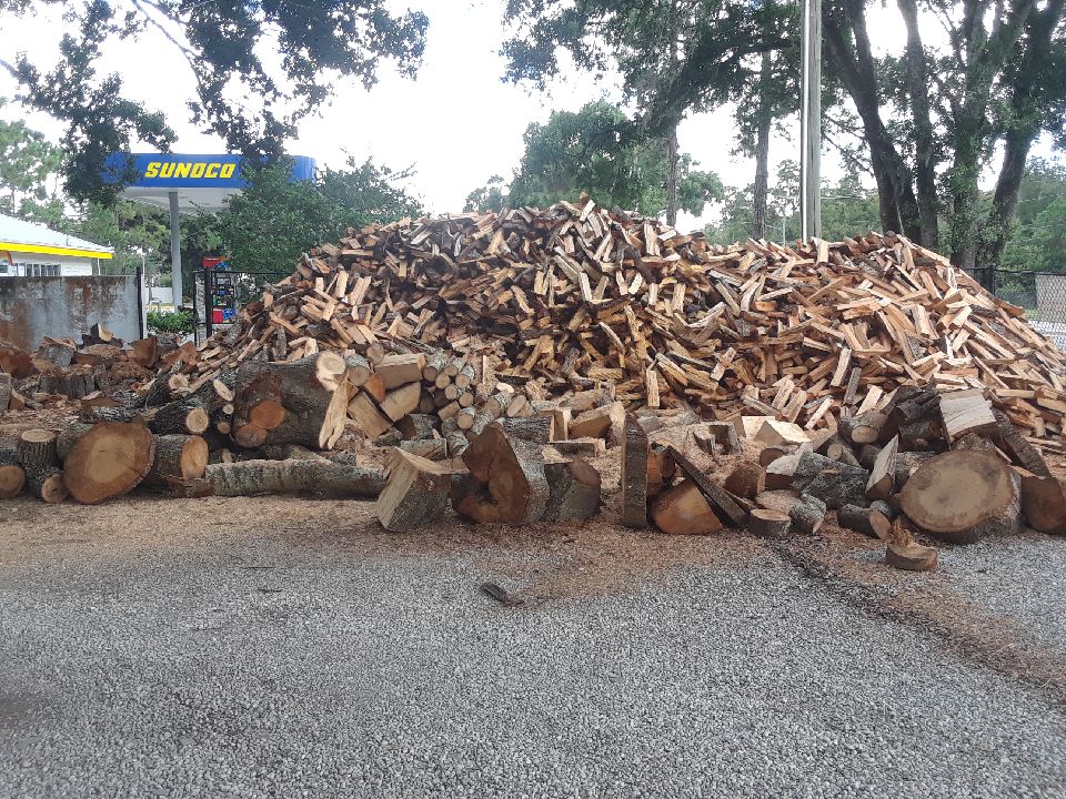 20180923_144433_1537728454274.jpeg