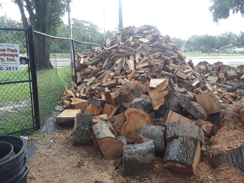 20180923_144533_1537728452709.jpeg