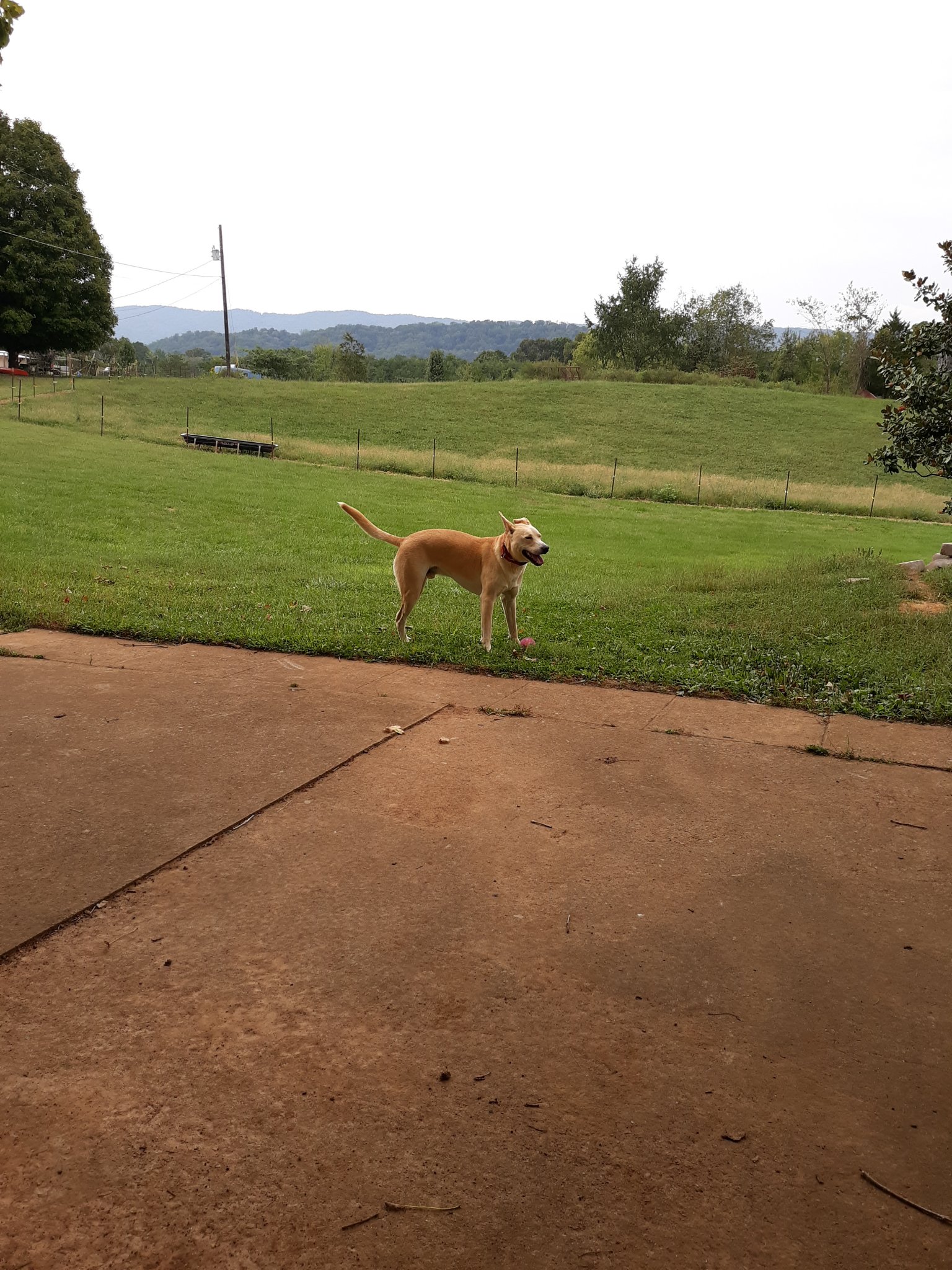 20180923_153811.jpg