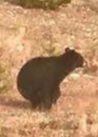 20180925_183601.jpg