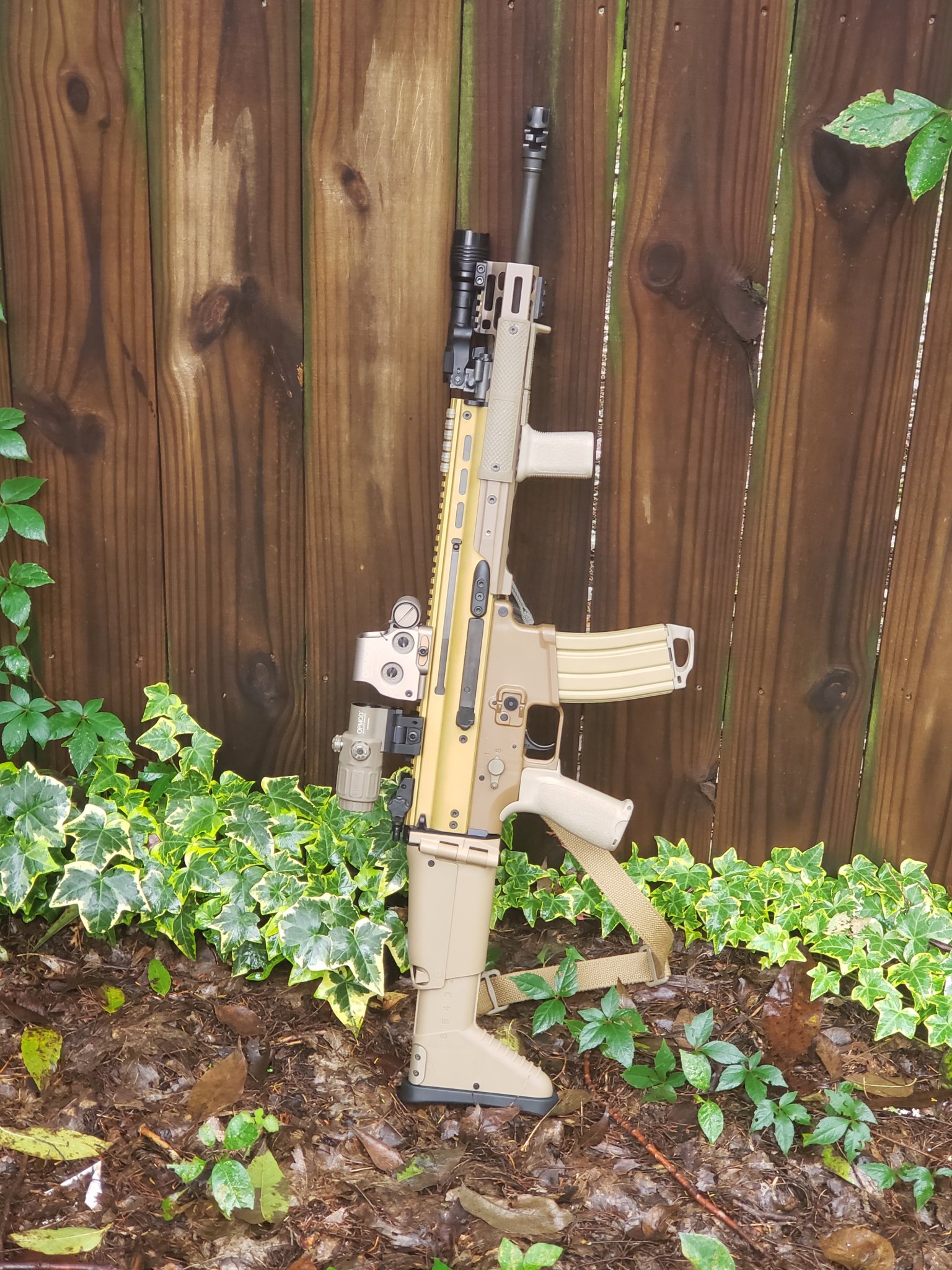 20180926_142011.jpg