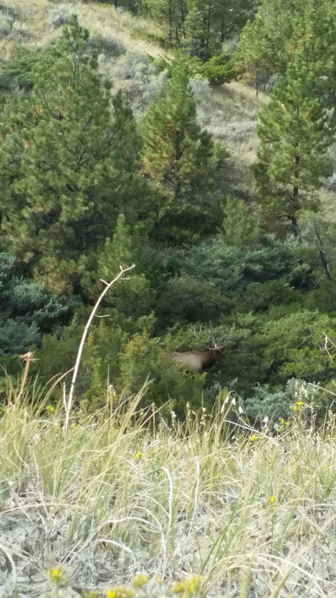 20180926_144120.jpg