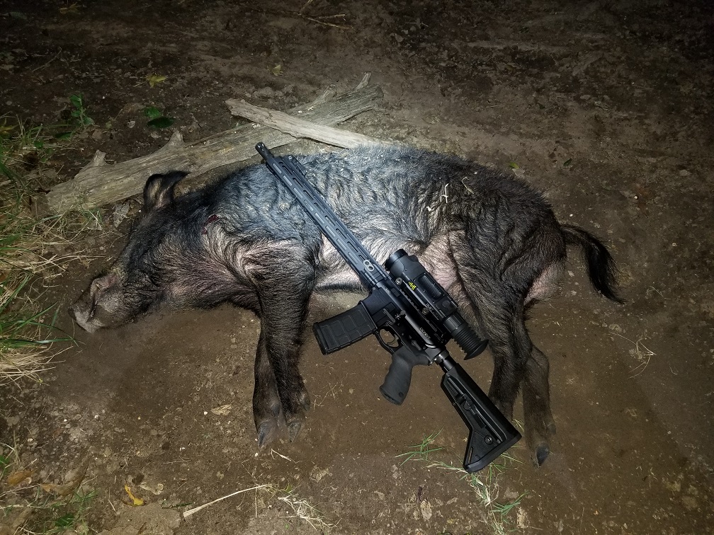 20180927 Boar Chimney.jpg