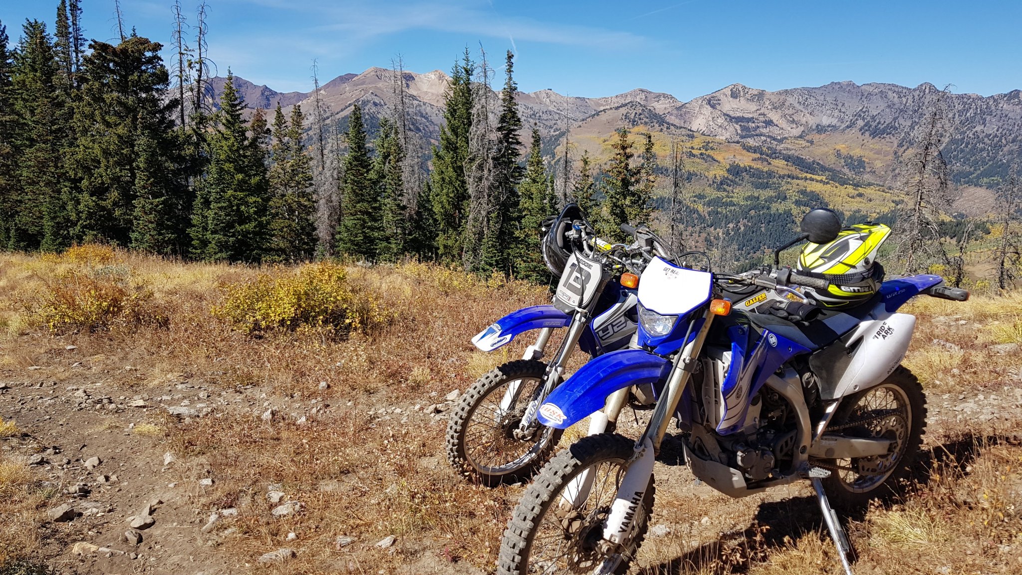 20180928_140133.jpg