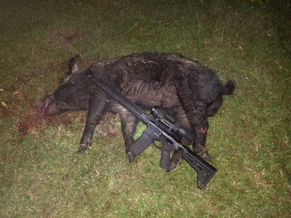 20180929 Boar Island.jpg